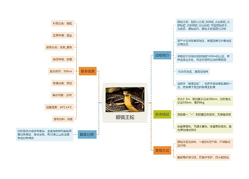 眼镜王蛇