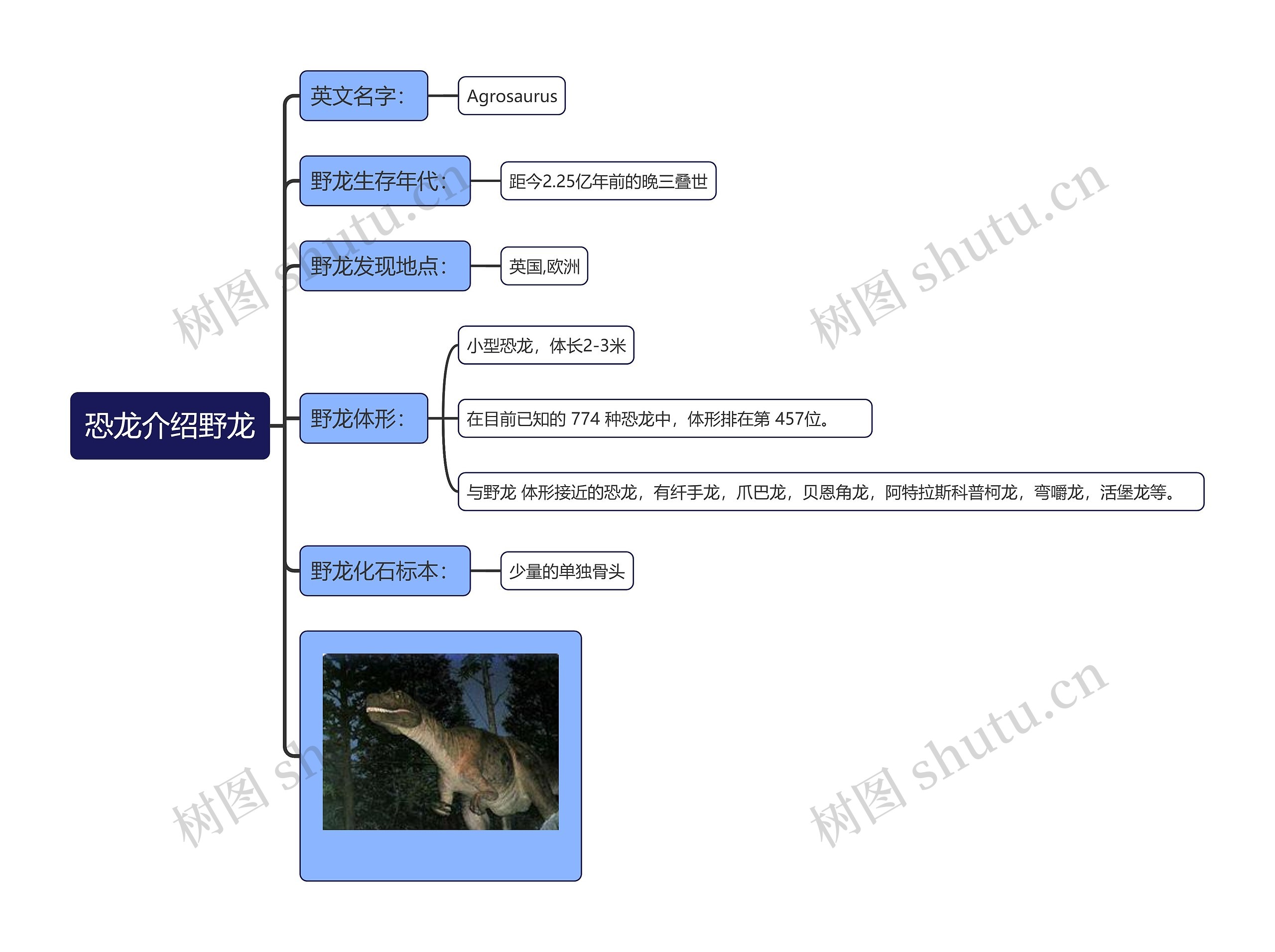 恐龙介绍野龙思维导图