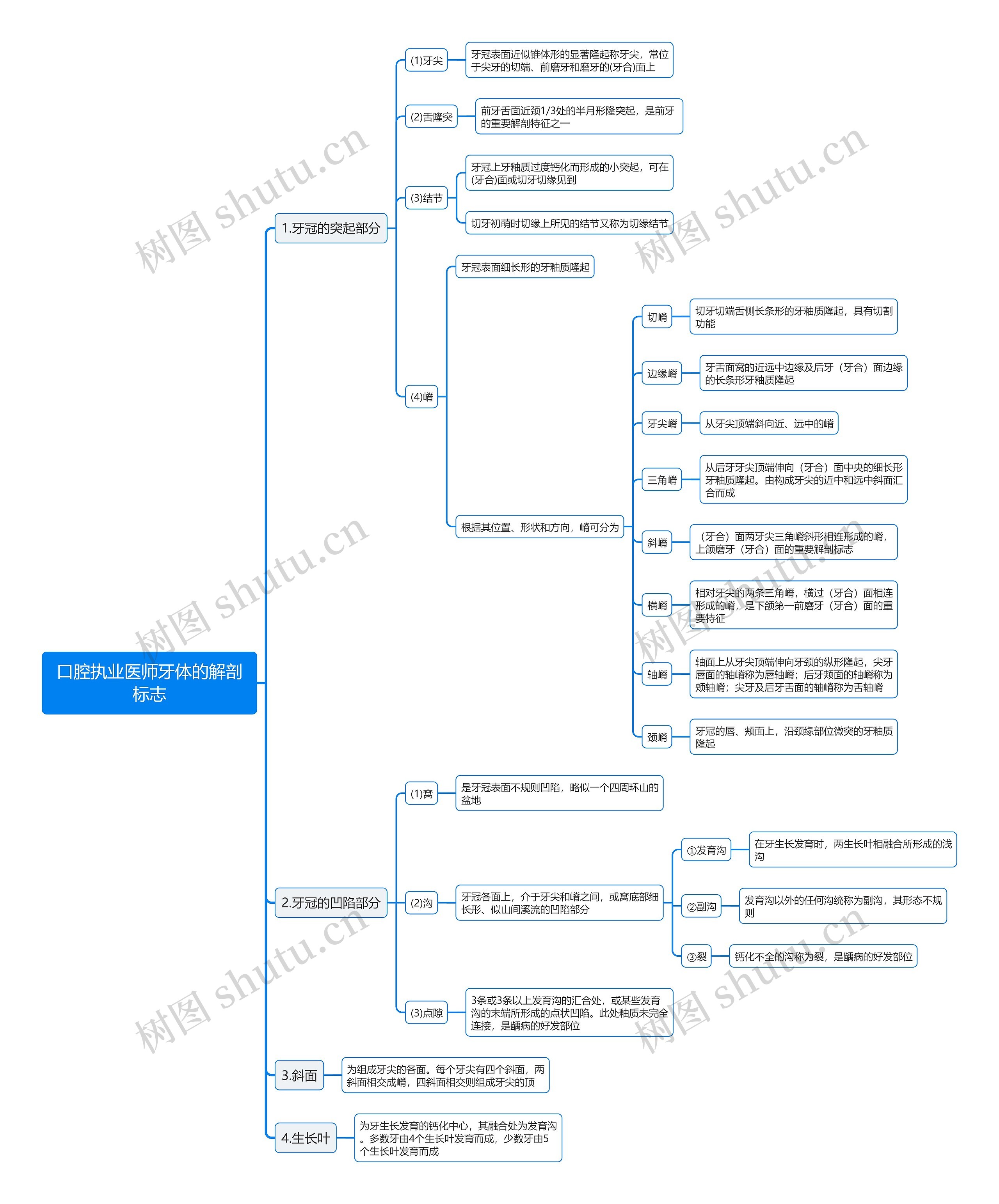 口腔执业医师牙体的解剖标志思维导图