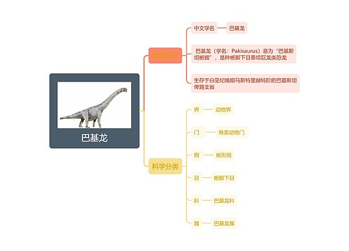 巴基龙