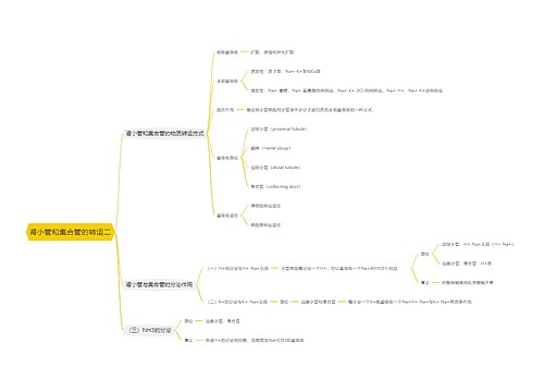 肾小管和集合管的转运二思维导图