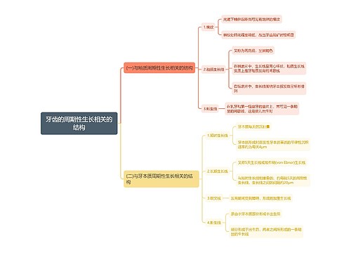牙齿的周期性生长相关的结构