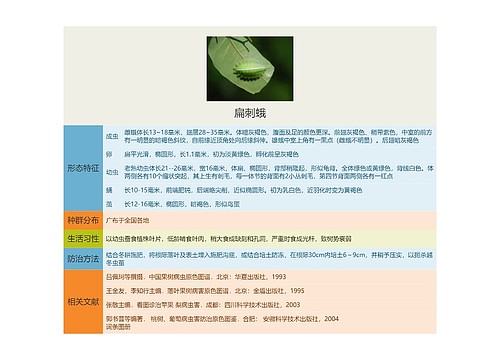 扁刺蛾思维导图