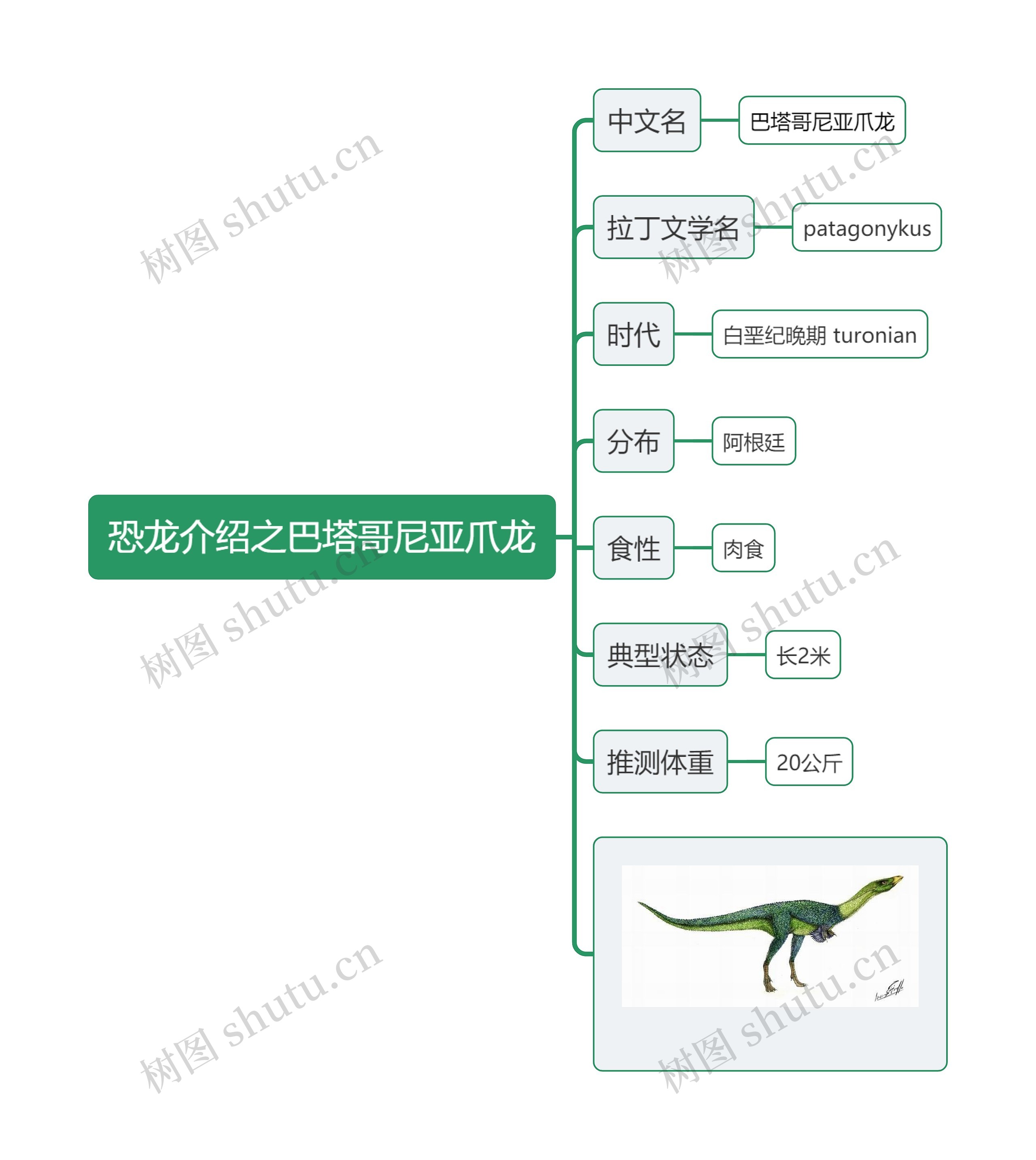 恐龙介绍之巴塔哥尼亚爪龙思维导图