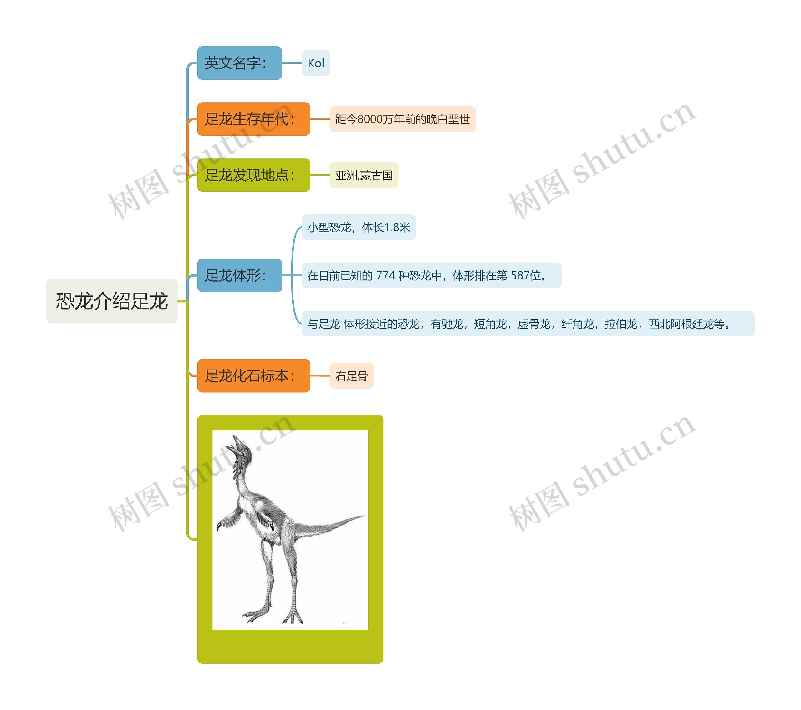 恐龙介绍足龙思维导图