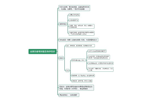 金黄色葡萄球菌生物学性状思维导图