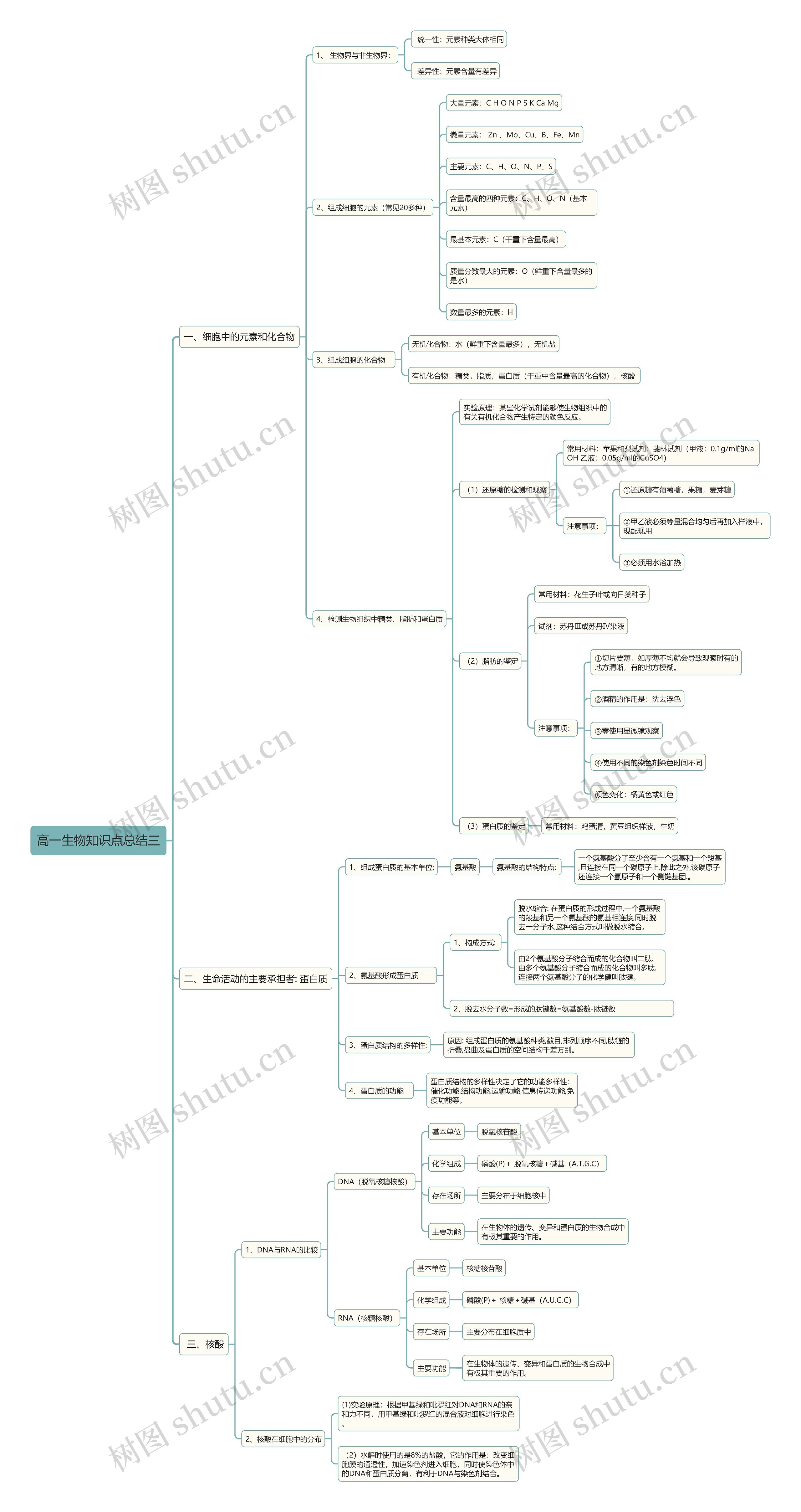 高中生物必修一知识总结三思维导图