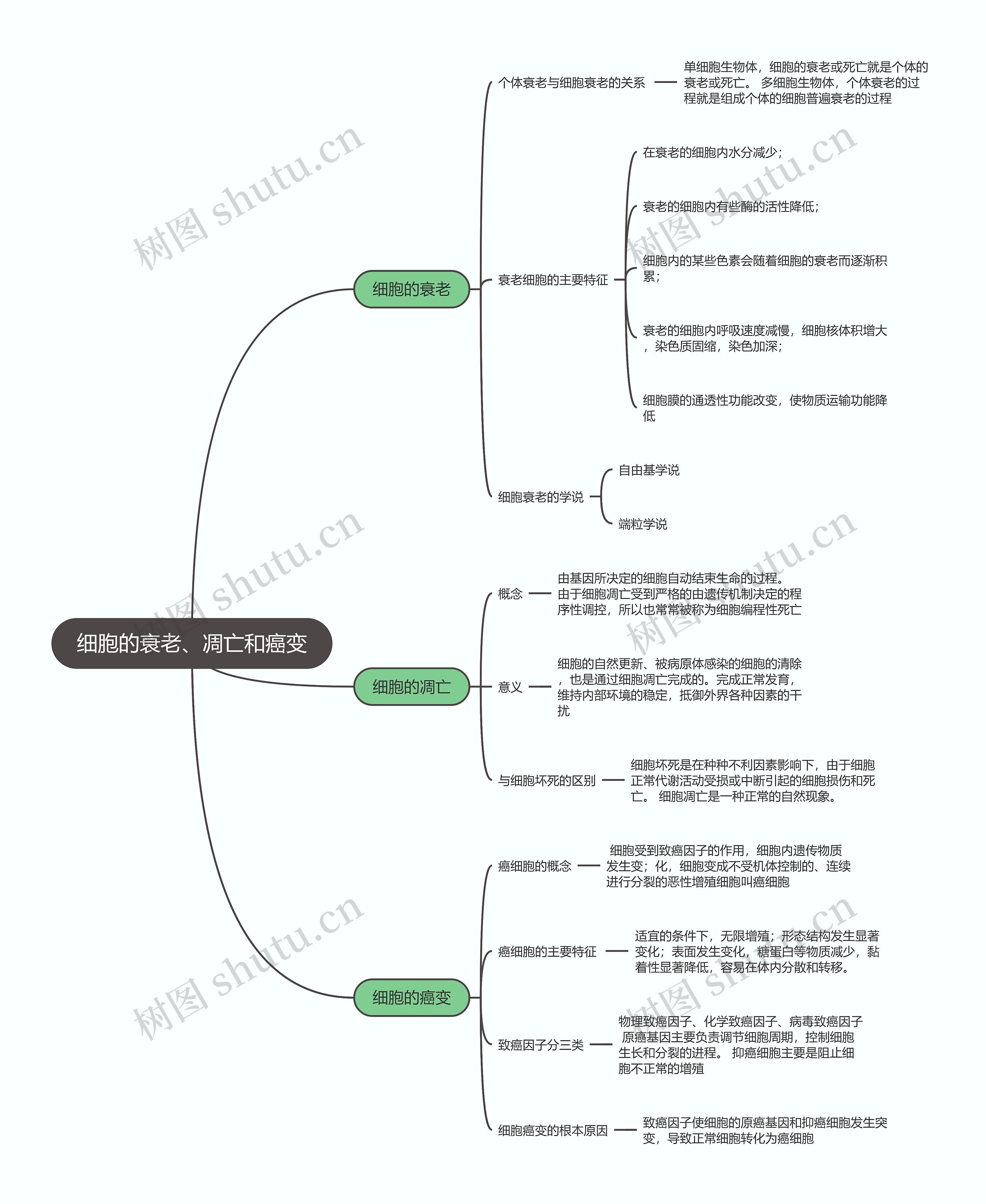 生物必修一  细胞的衰老、凋亡和癌变思维导图