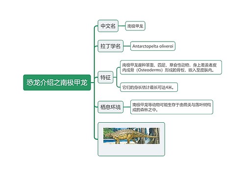 恐龙介绍之南极甲龙思维导图