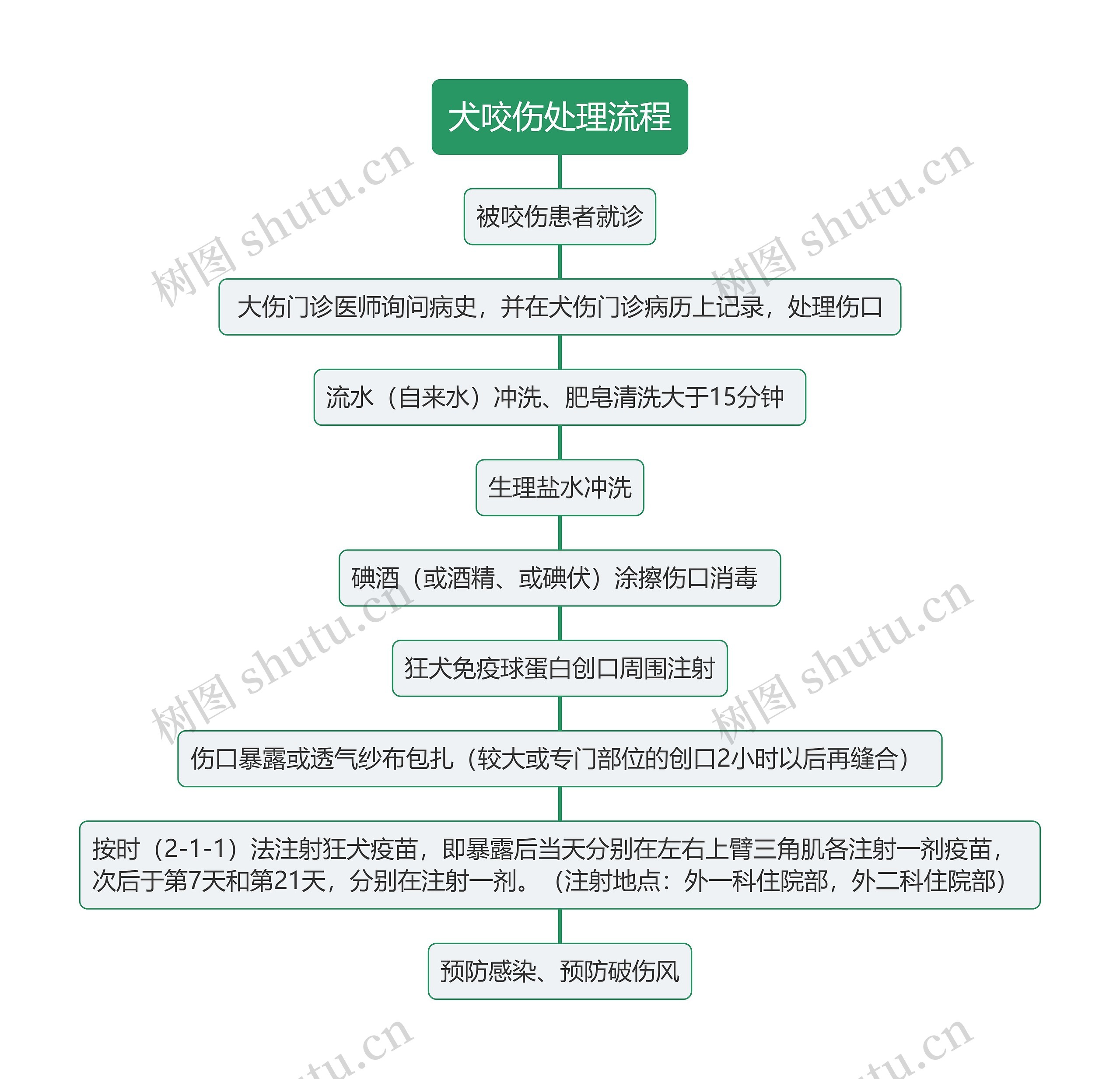 犬咬伤处理流程思维导图