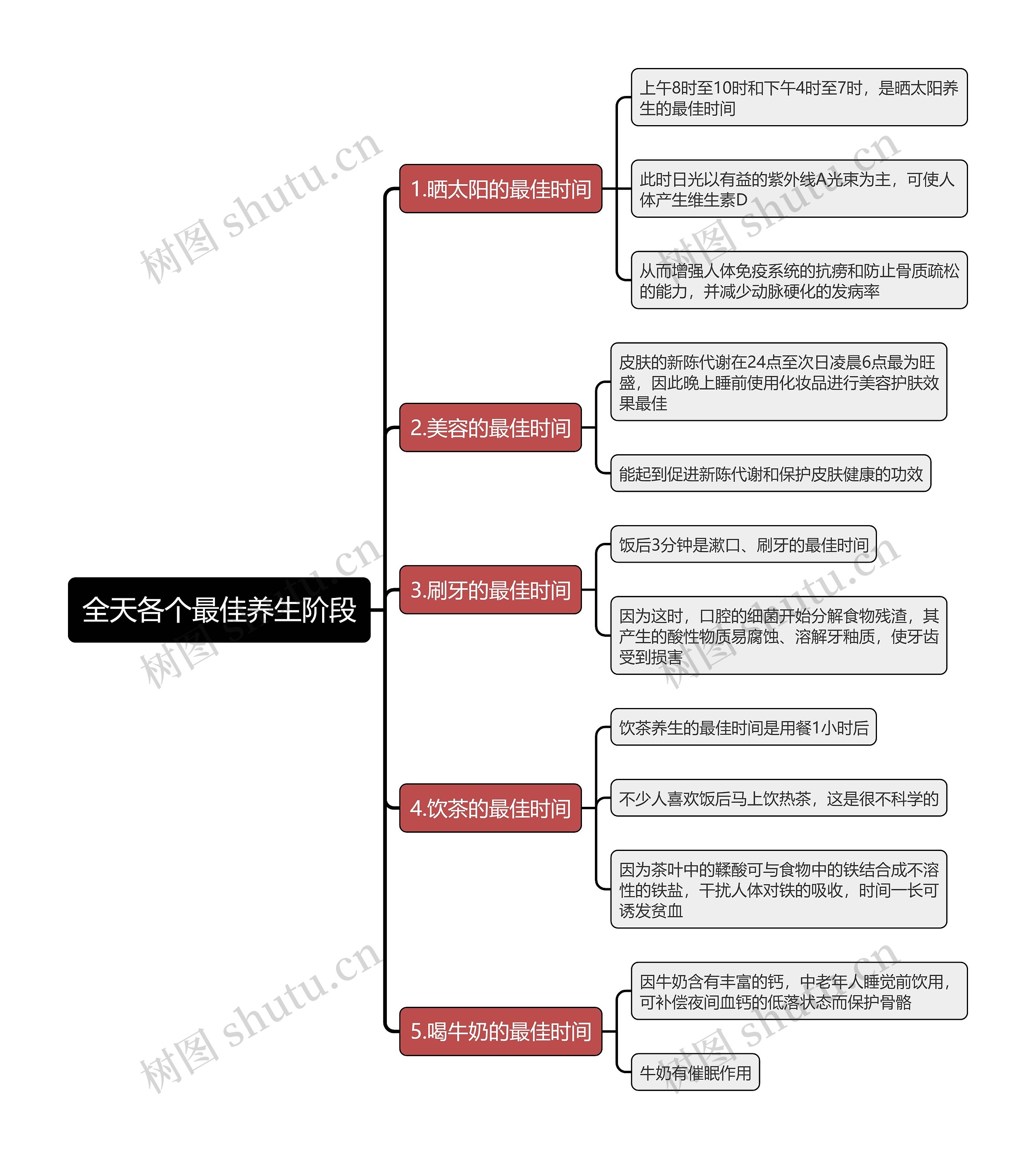 全天各个最佳养生阶段思维导图