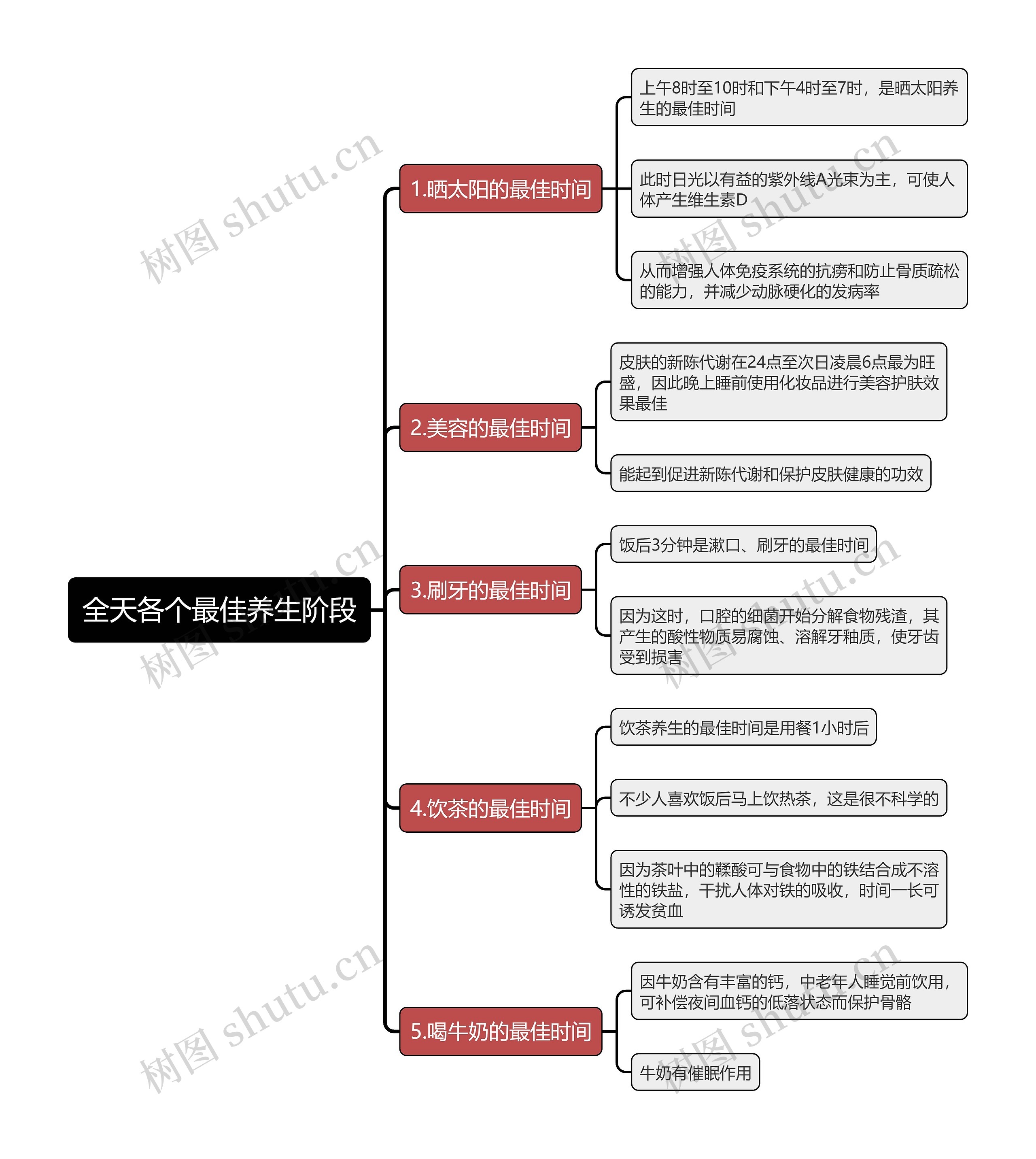 全天各个最佳养生阶段思维导图 全天各个最佳养生阶段思维导图