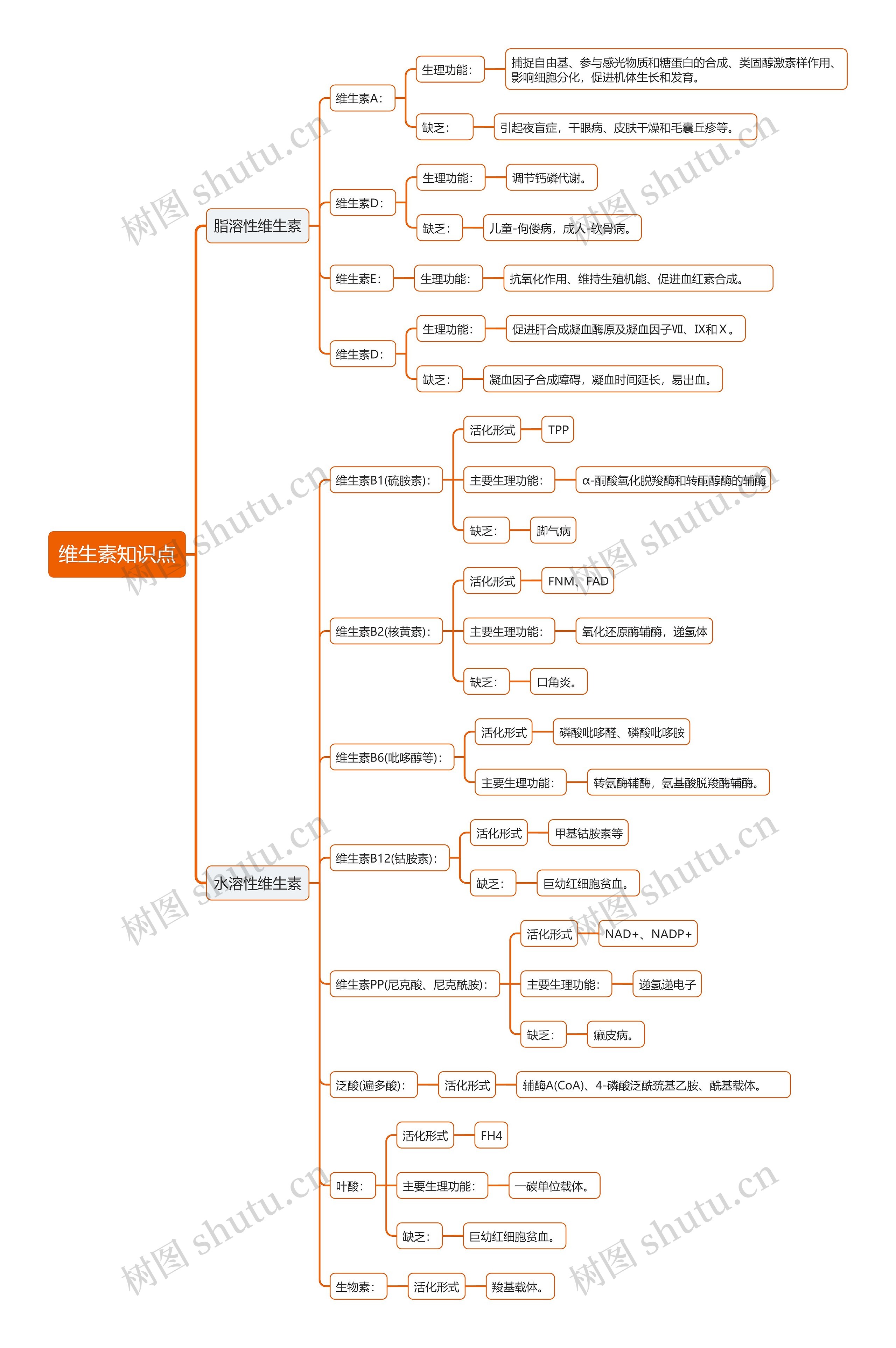 维生素知识点思维导图