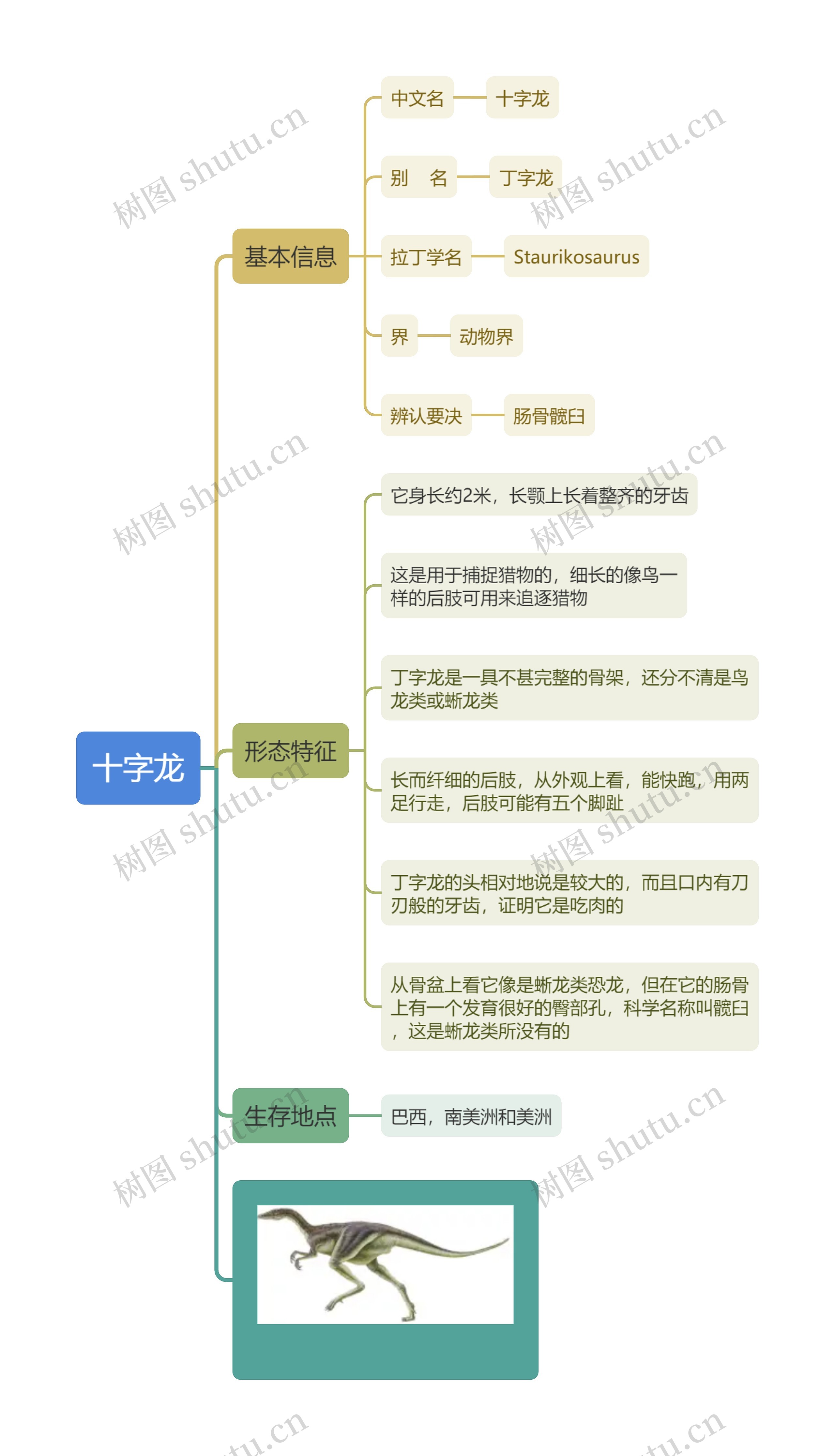 十字龙思维导图