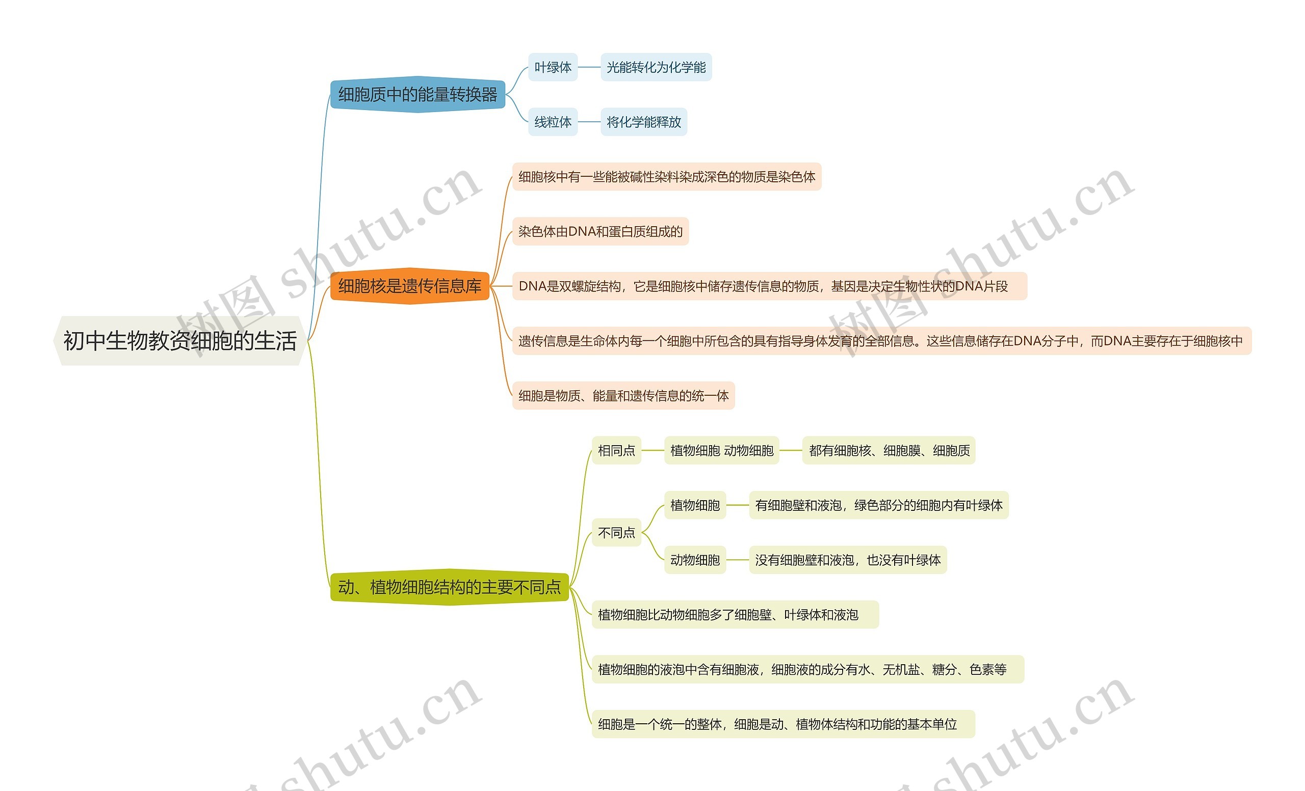 初中生物教资细胞的生活思维导图