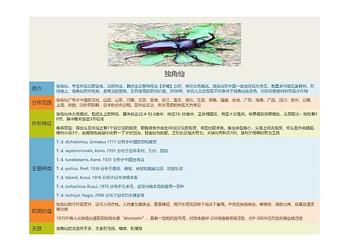 独角仙思维导图