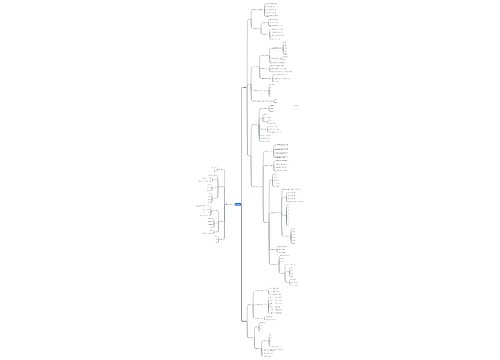 综合素质基础知识思维导图