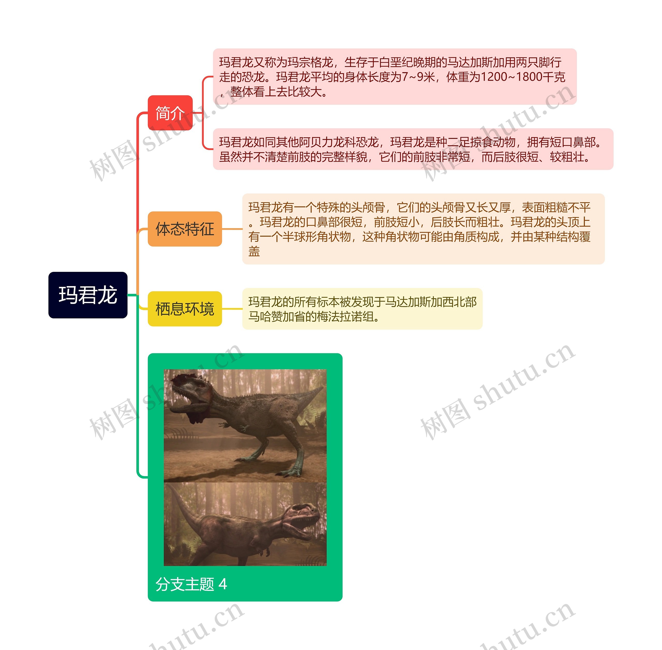 玛君龙思维导图