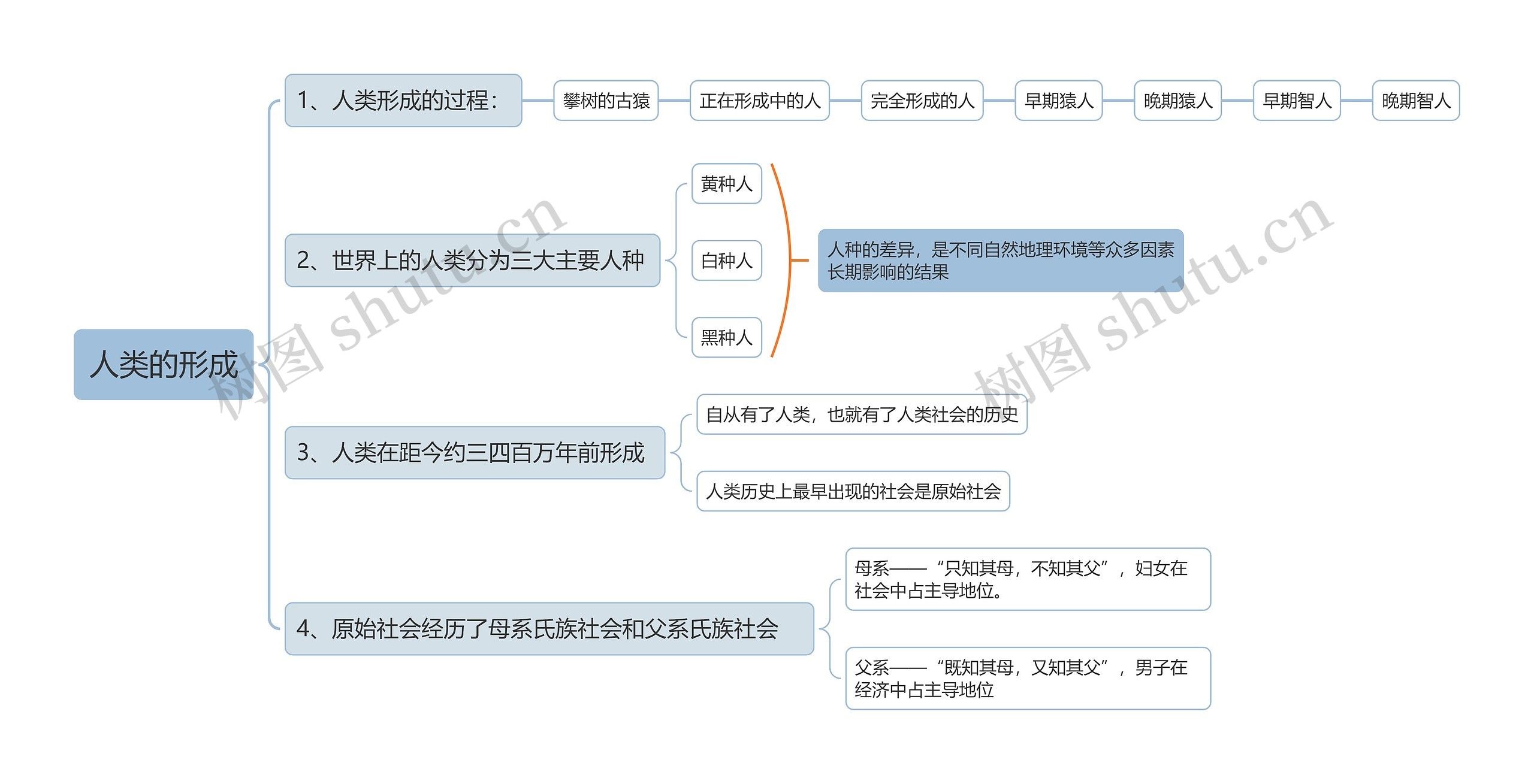 人类的形成