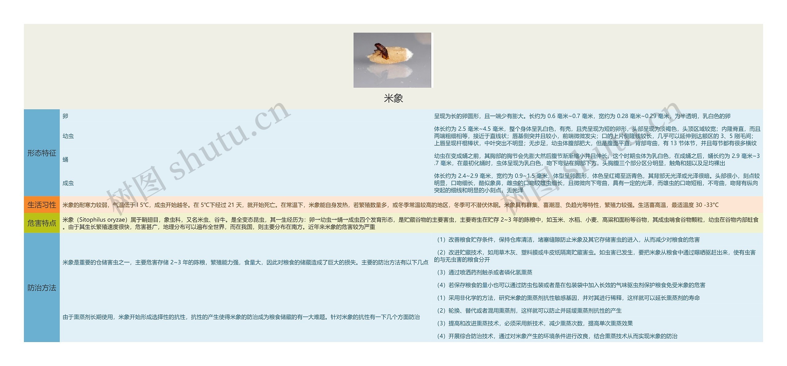 米象思维导图