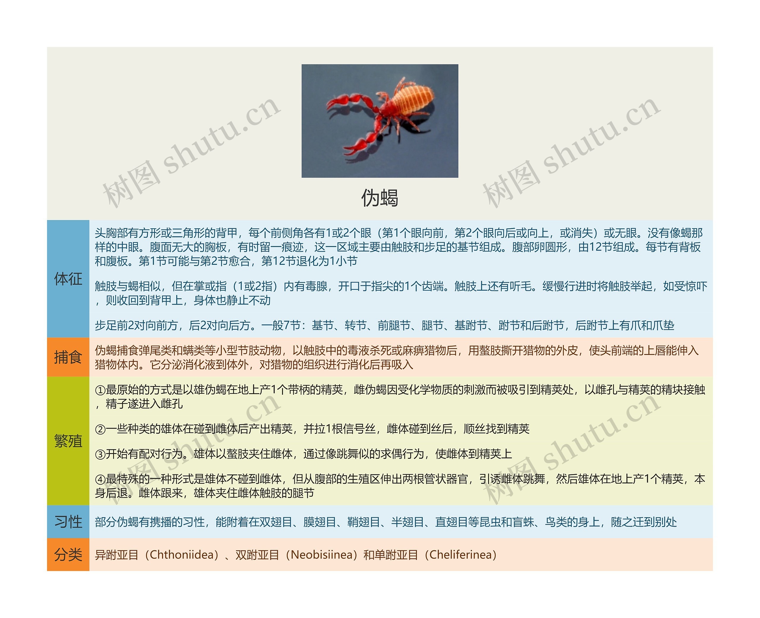 伪蝎思维导图