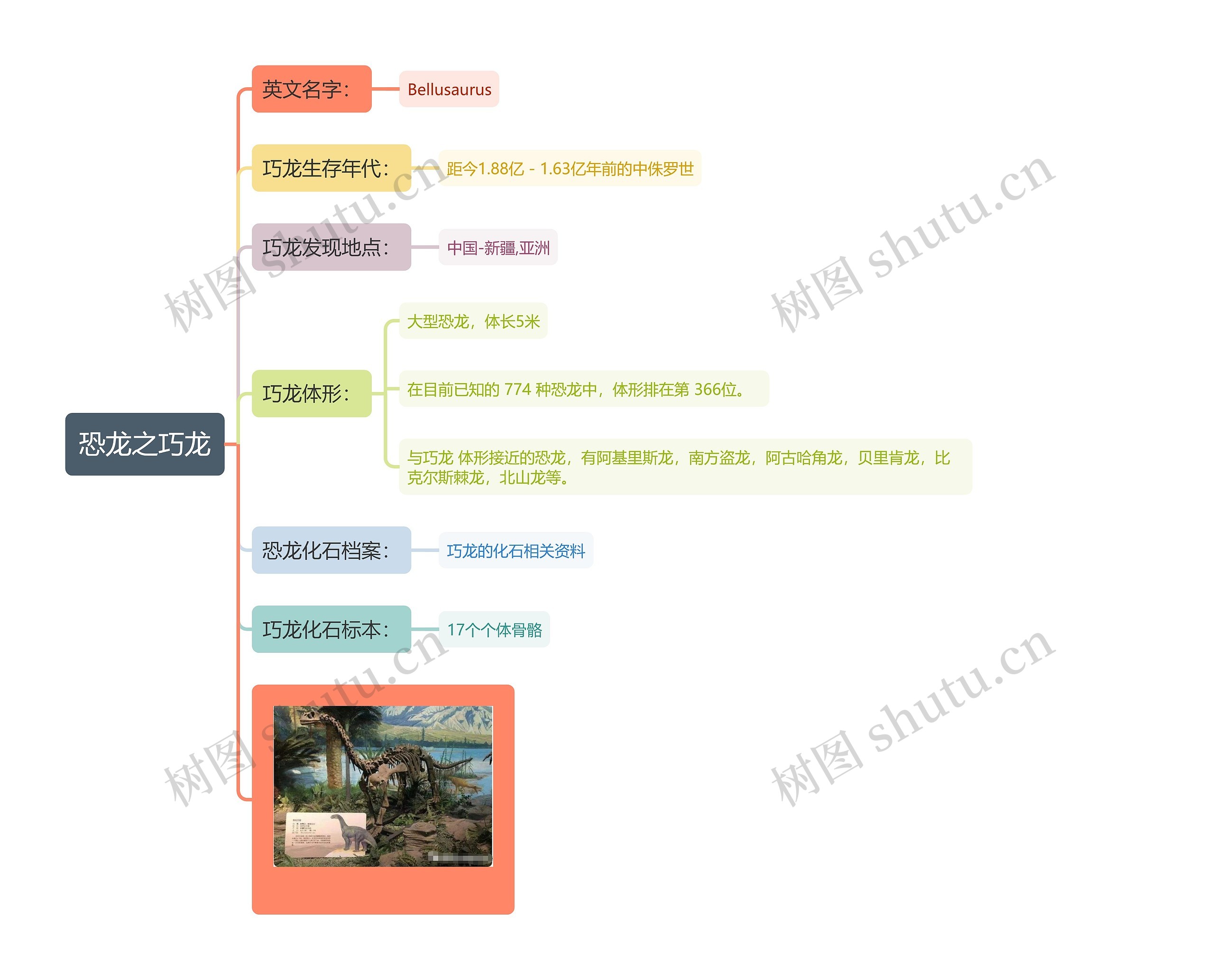 恐龙之巧龙思维导图