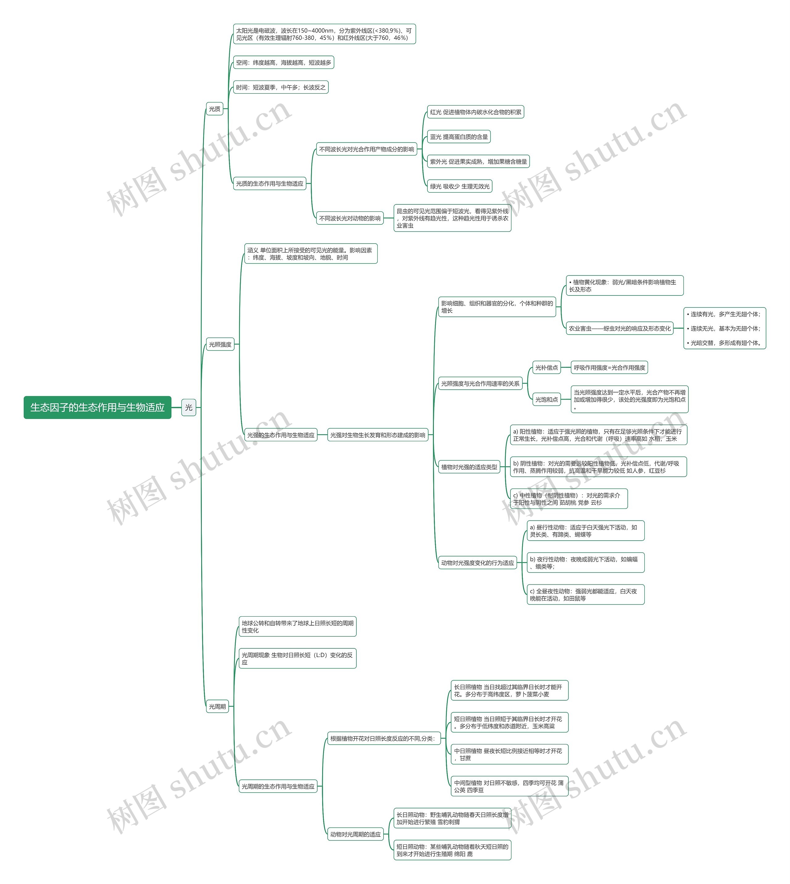 生态因子的生态作用与生物适应（光）思维导图