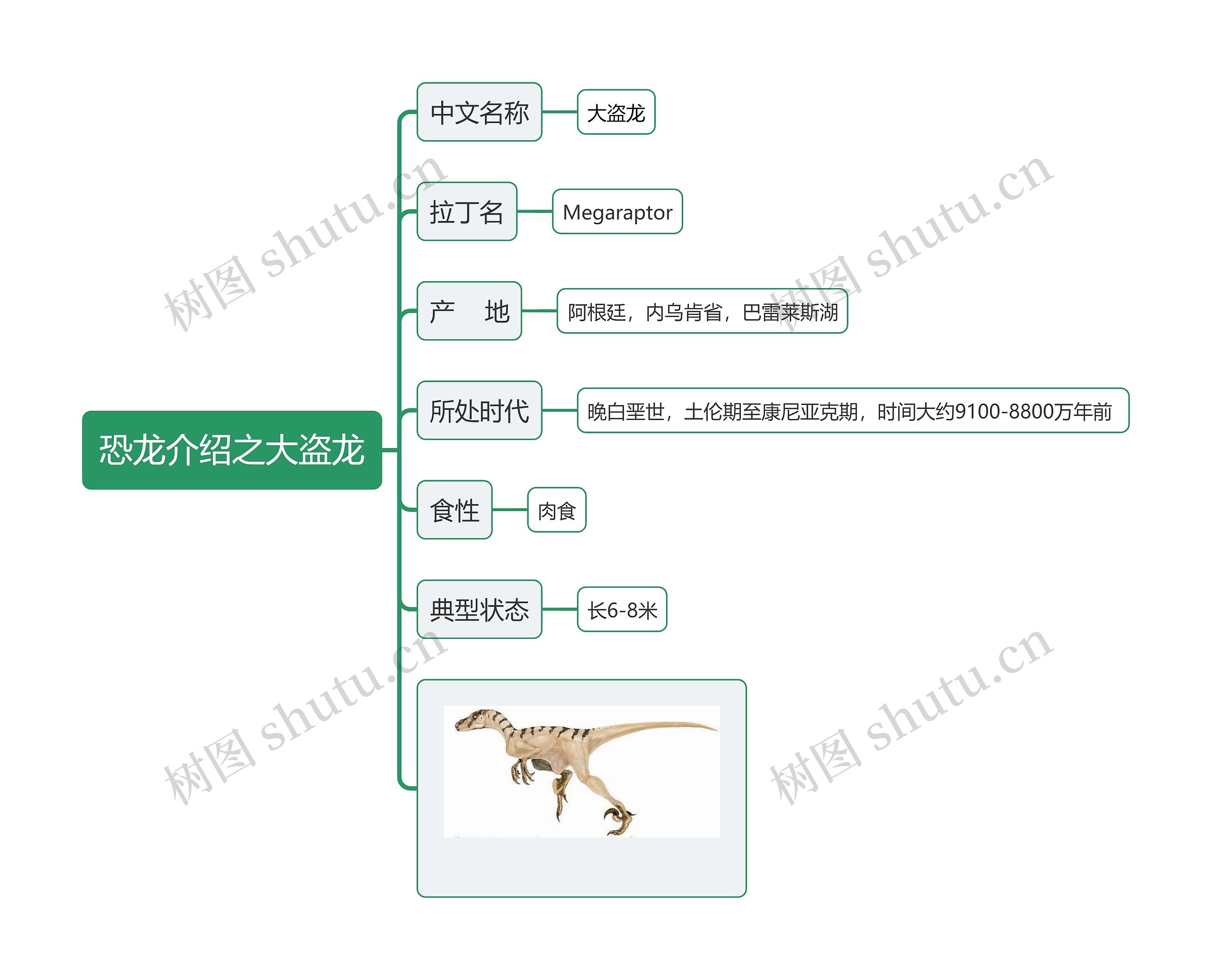 恐龙介绍之大盗龙思维导图