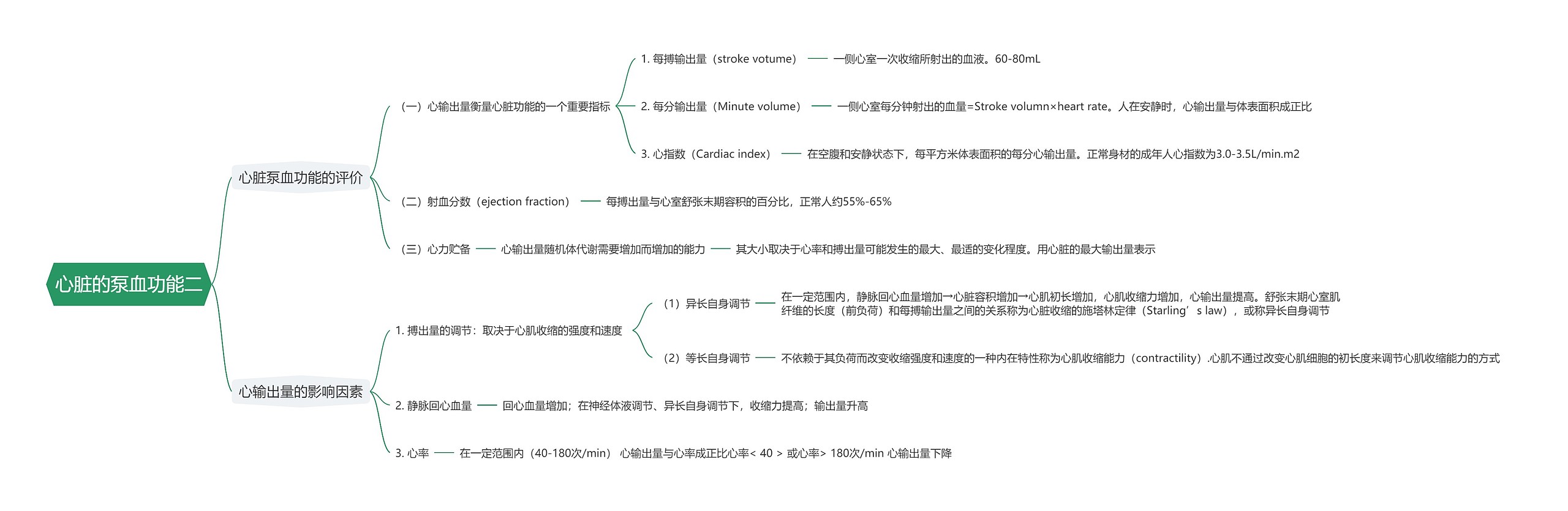 心脏的泵血功能二思维导图