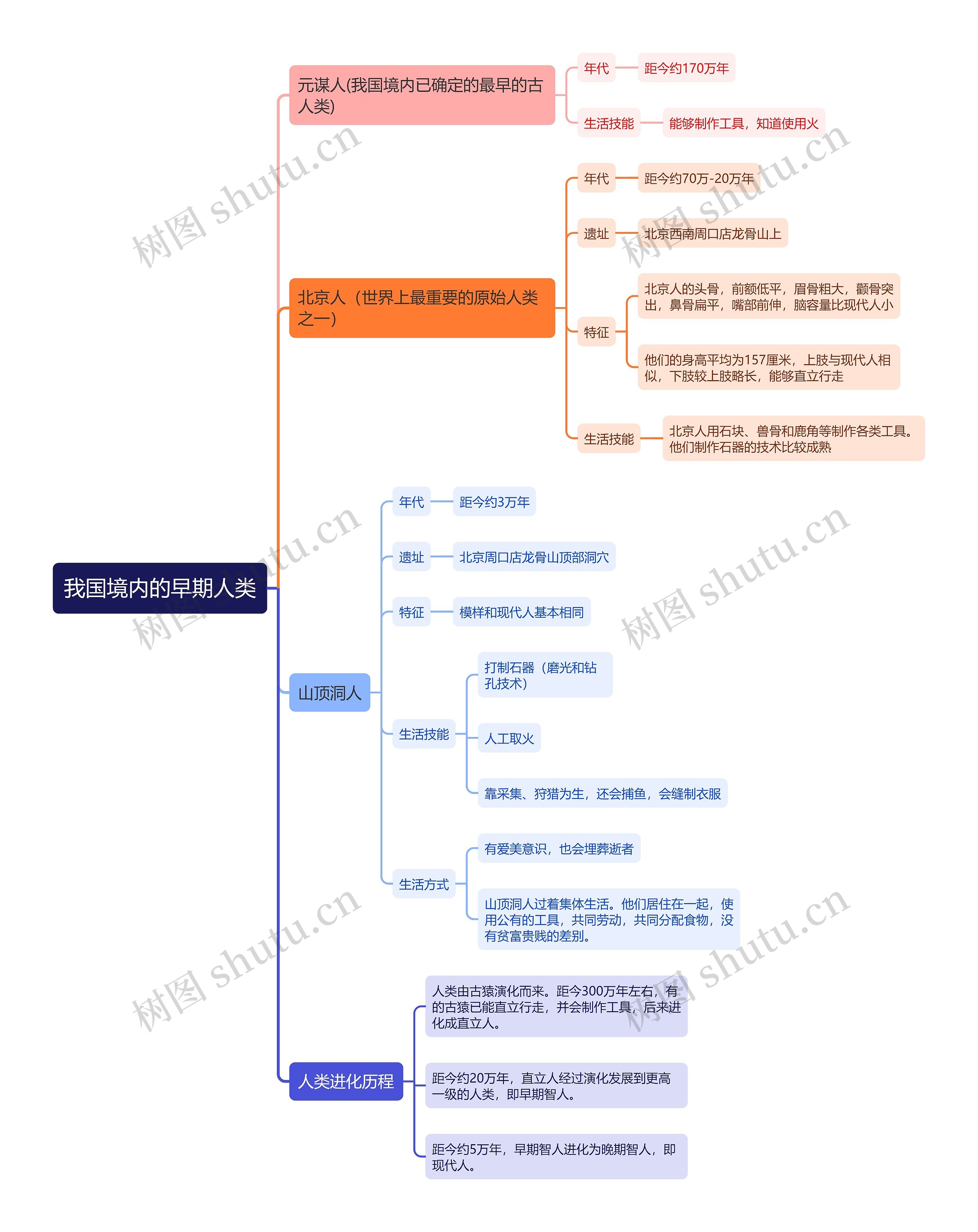 我国境内的早期人类思维导图