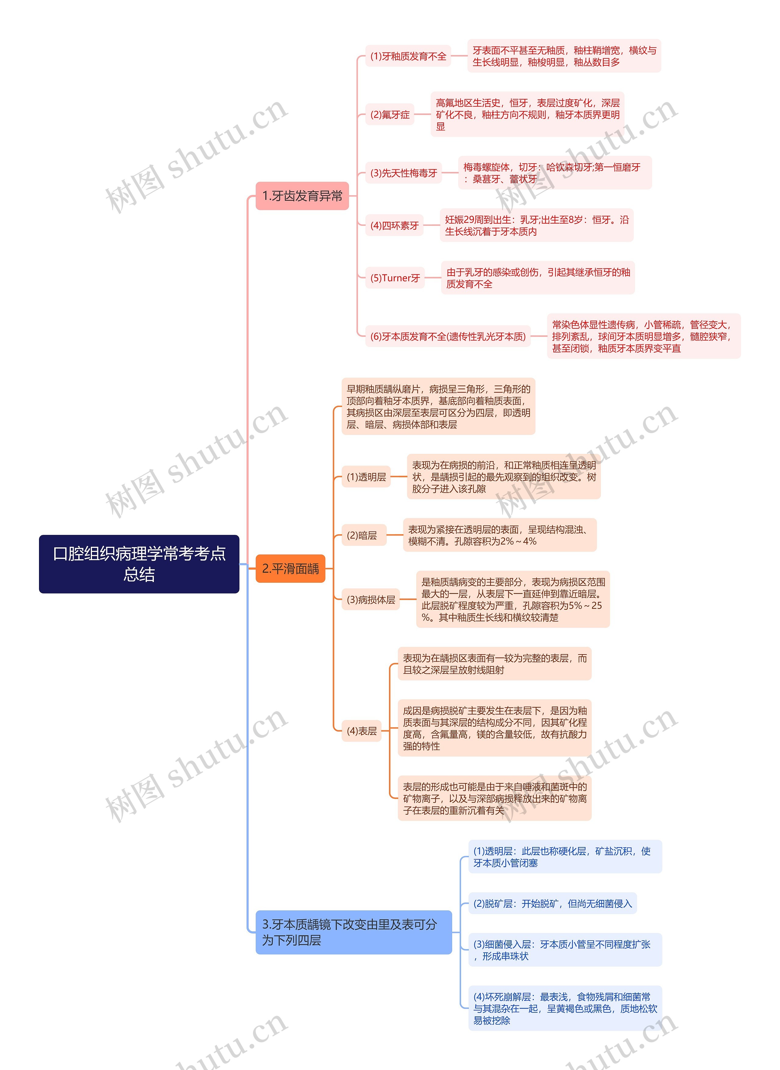 口腔组织病理学常考考点总结思维导图