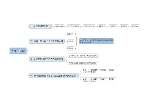 人类的形成