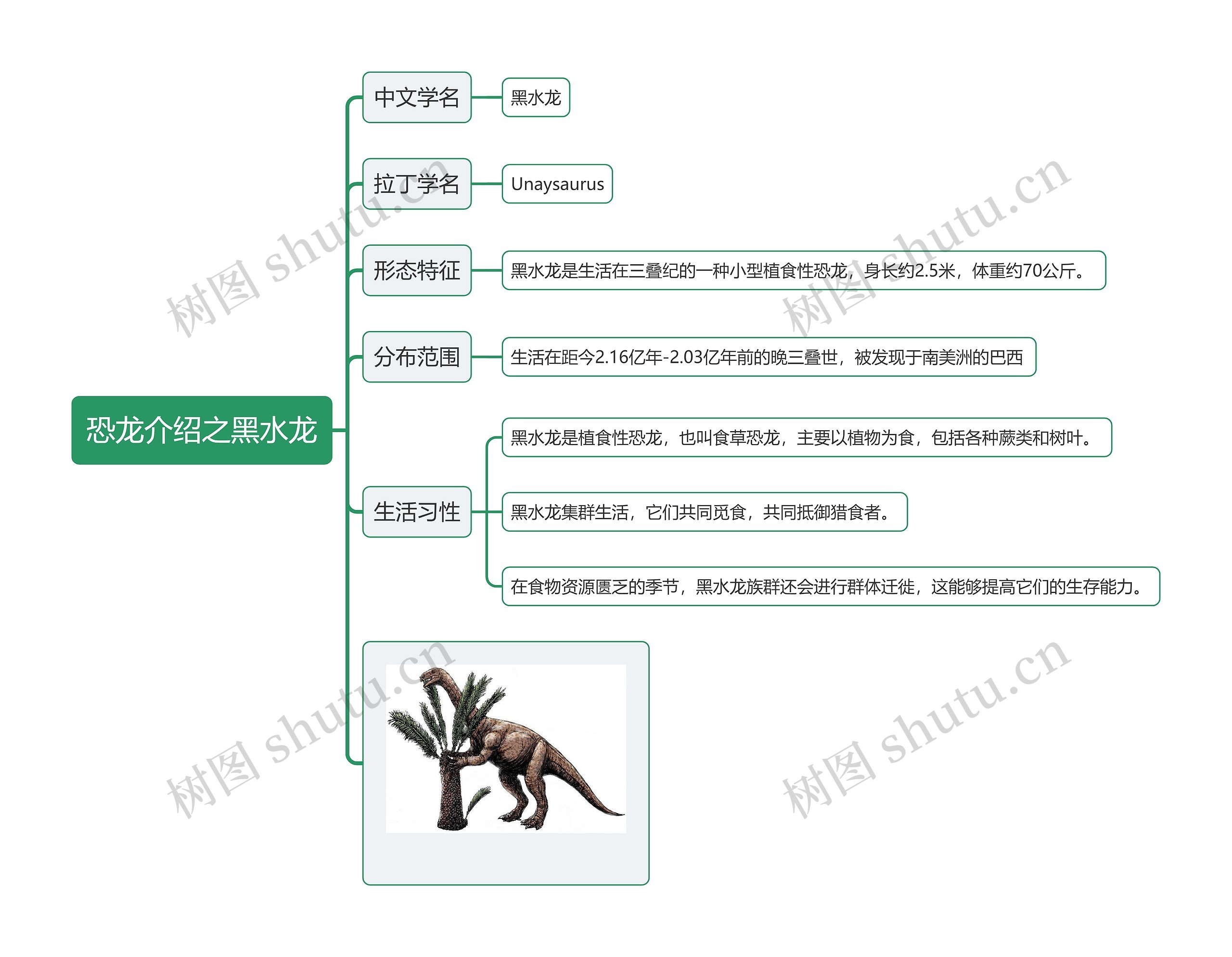 恐龙介绍之黑水龙思维导图