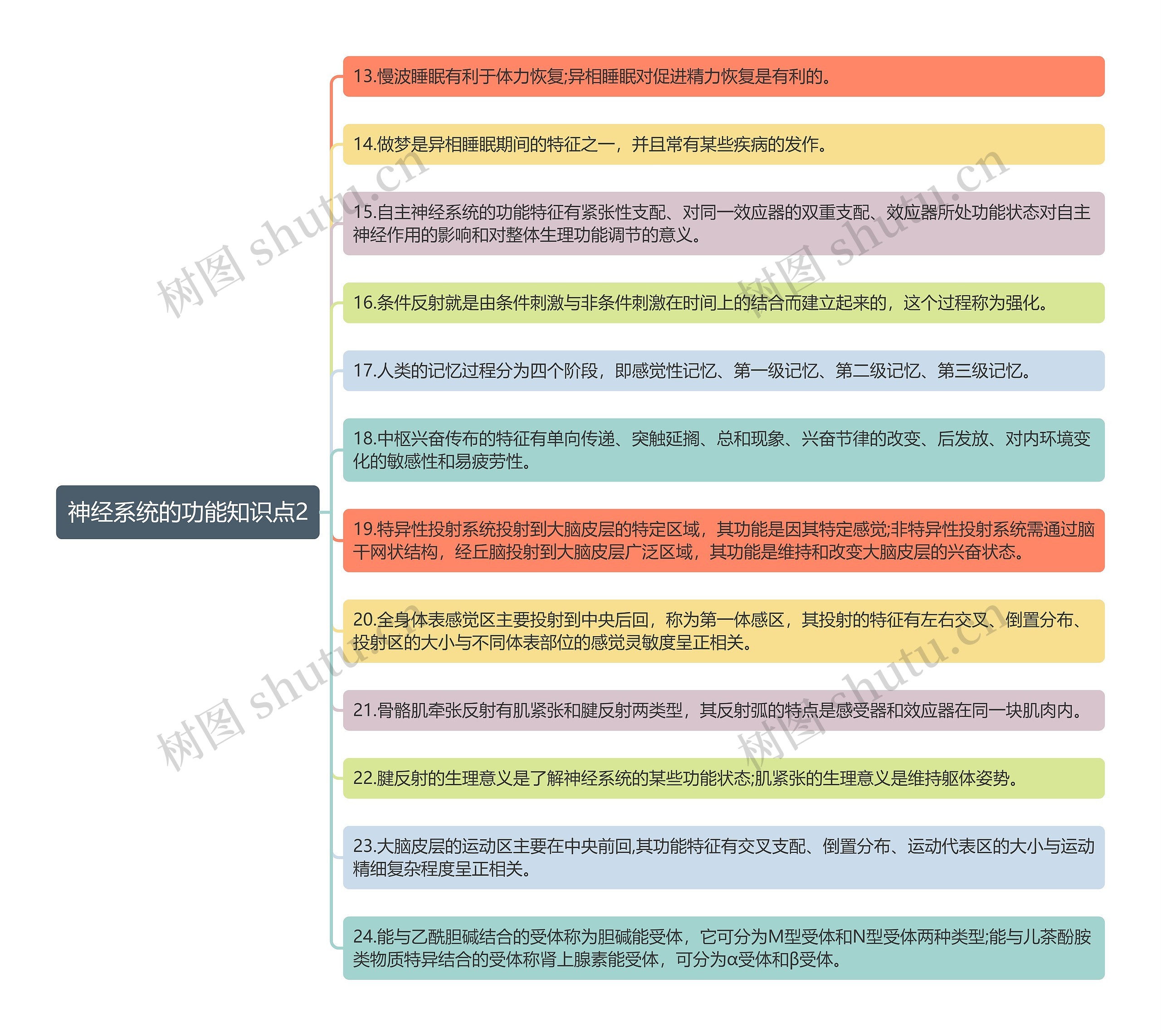 神经系统的功能知识点2思维导图