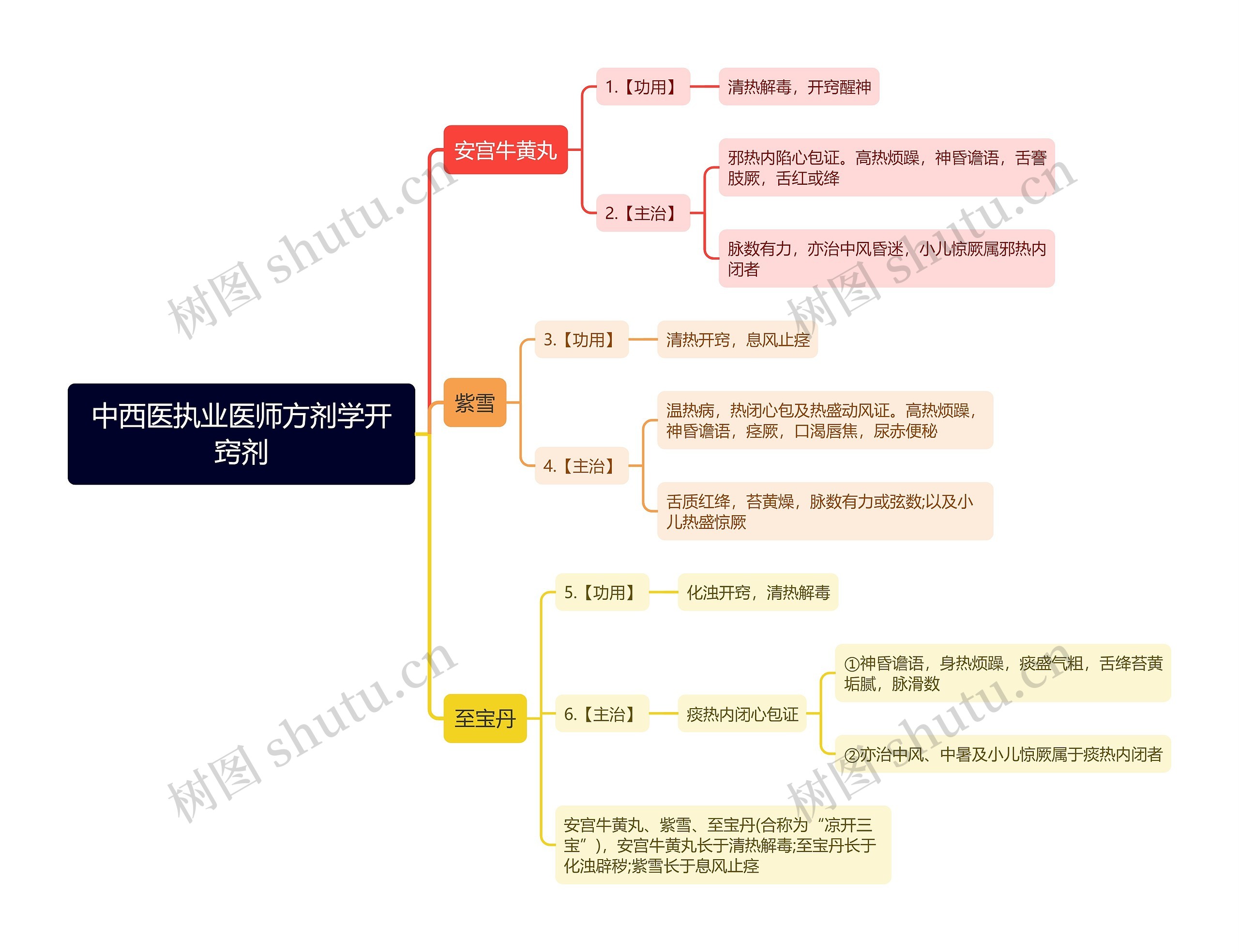 中西医执业医师方剂学开窍剂思维导图