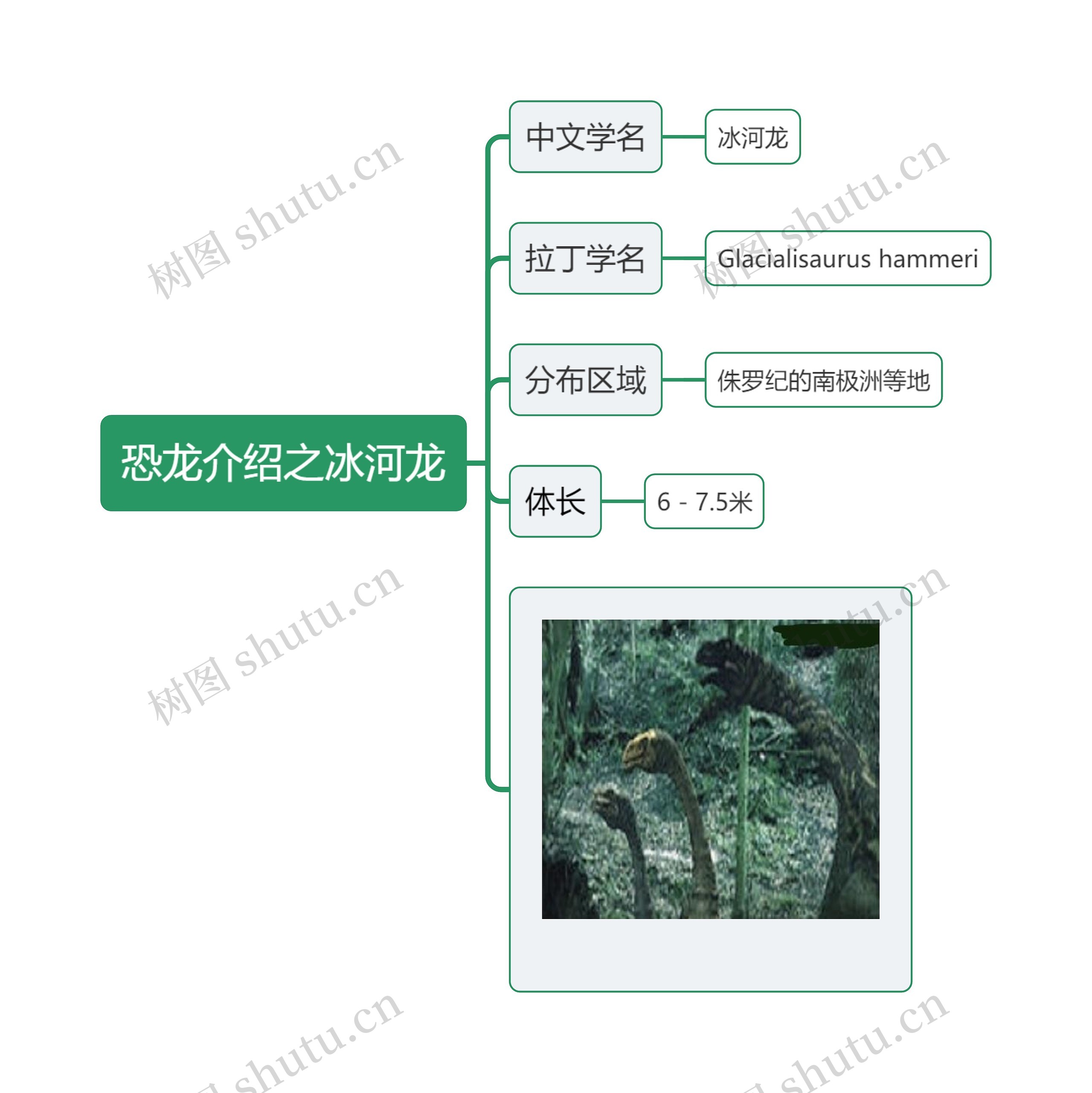 恐龙介绍之冰河龙思维导图