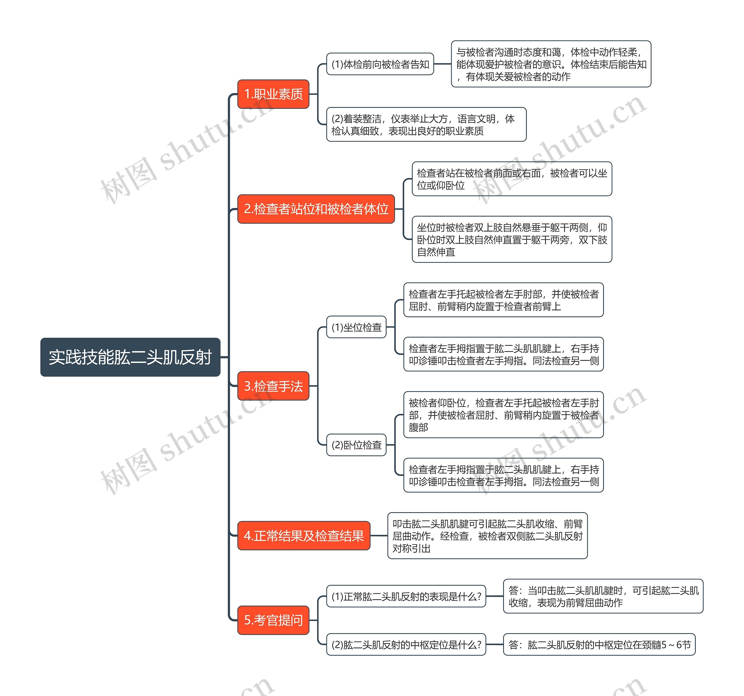 实践技能肱二头肌反射思维导图