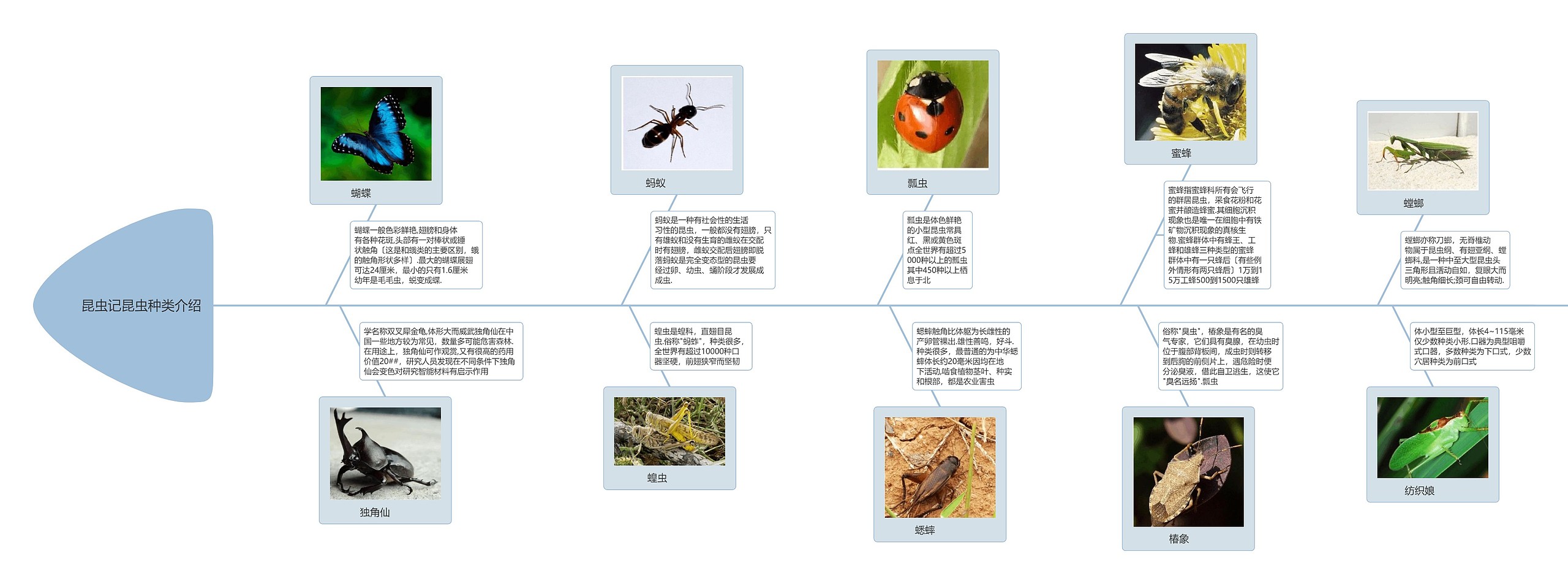 昆虫记昆虫种类介绍思维导图
