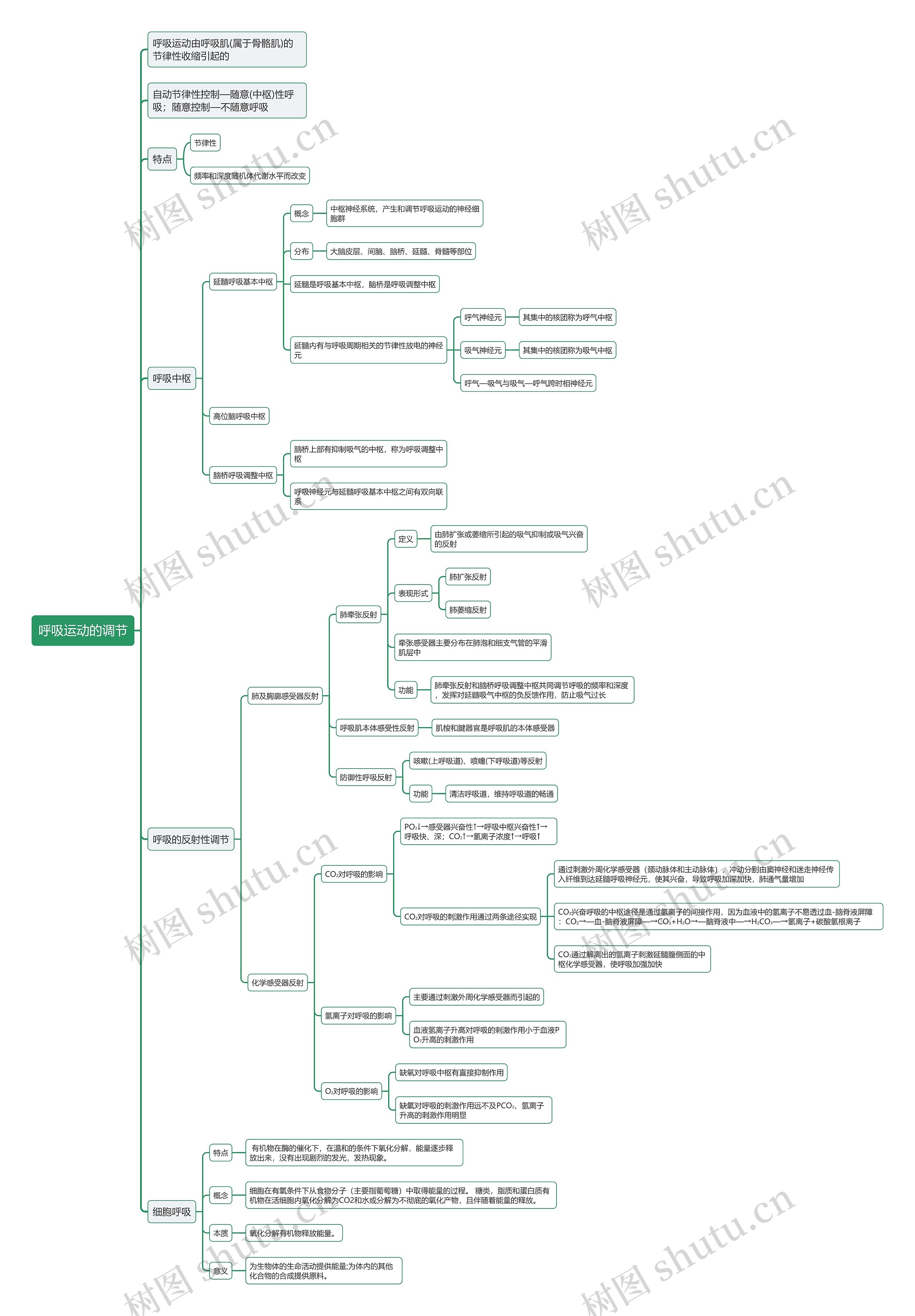 呼吸运动的调节思维导图