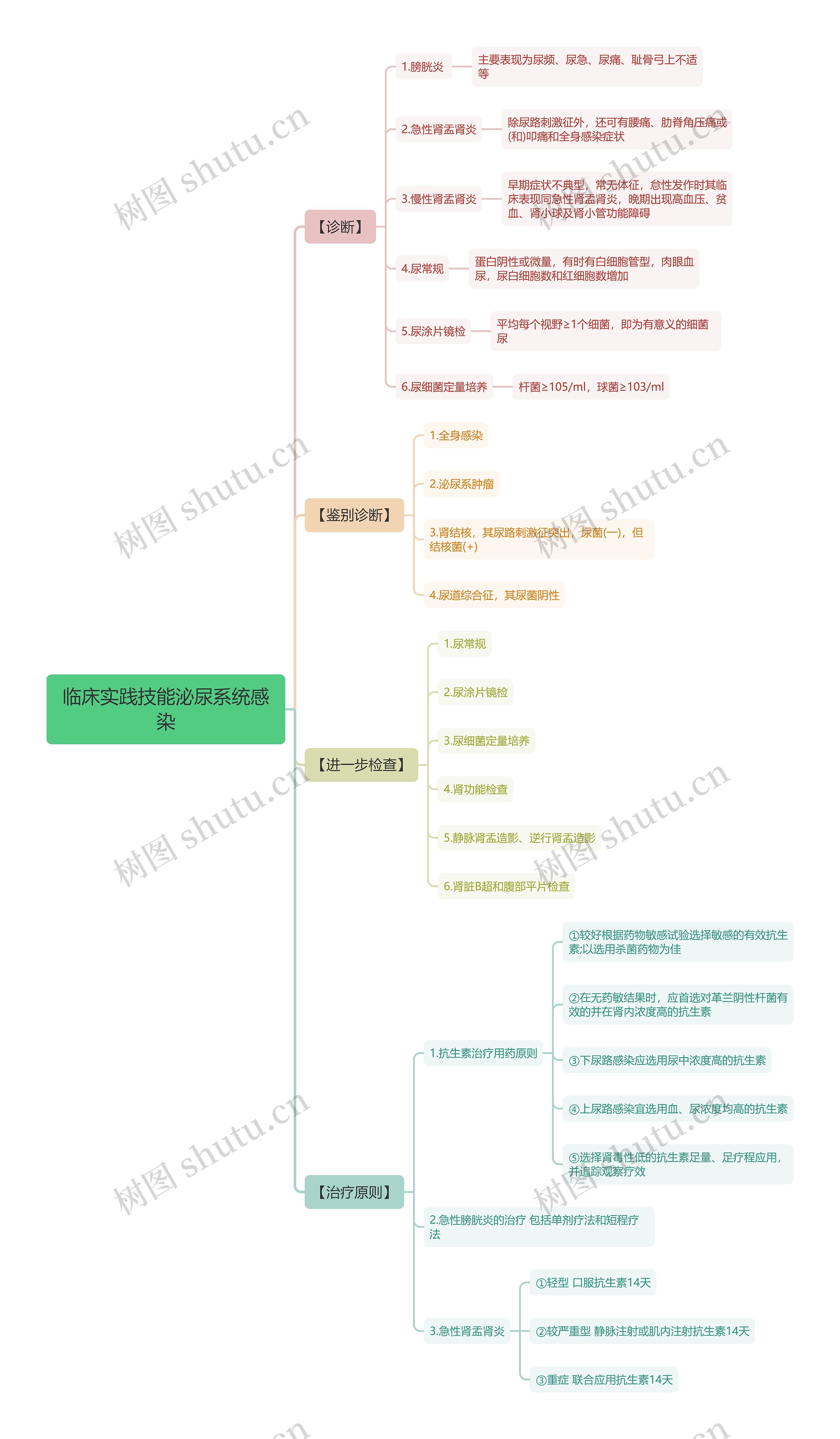 临床实践技能泌尿系统感染思维导图高清图 临床实践技能泌尿系统感染思维导图