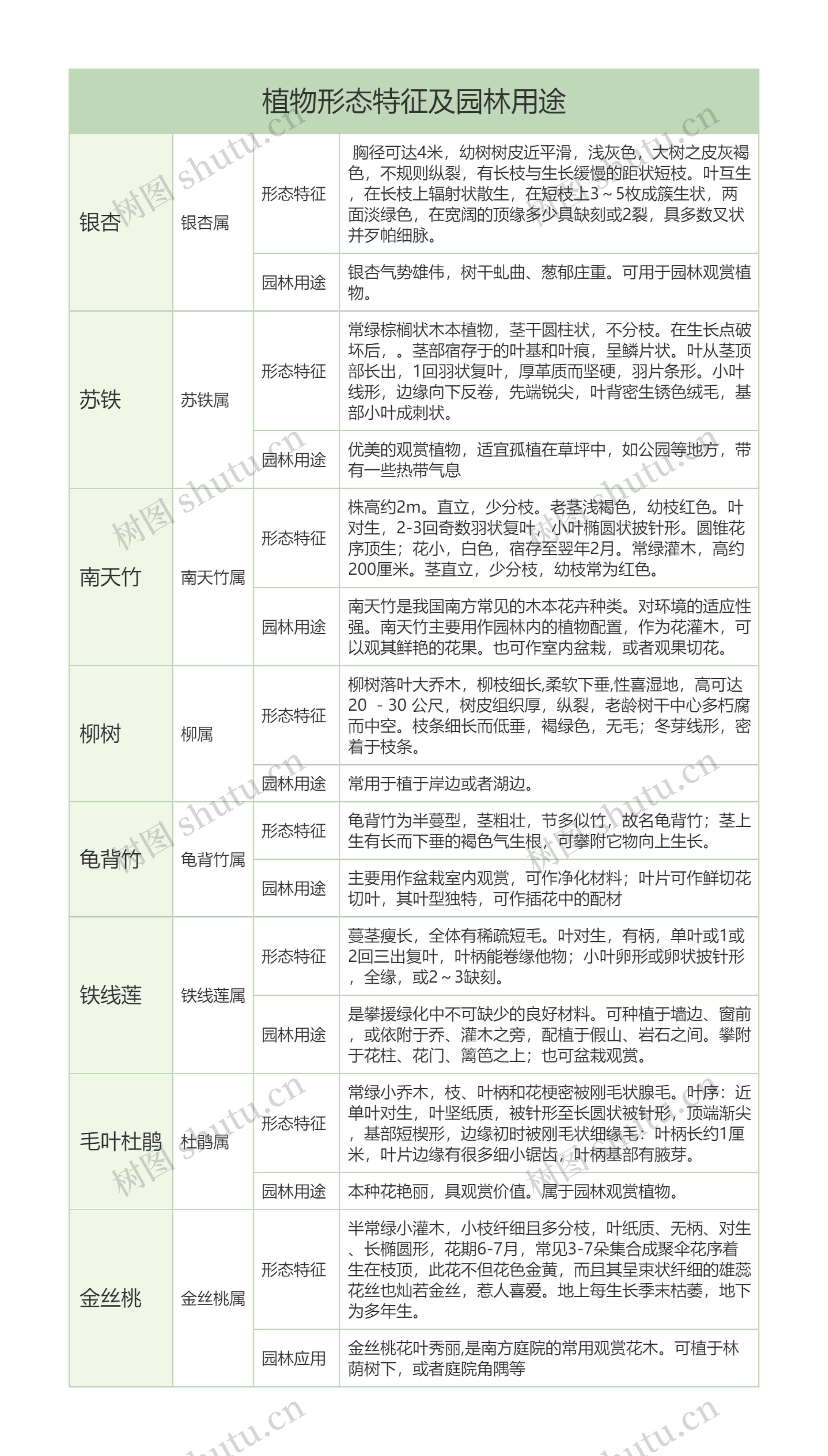 常见植物形态特征及园林用途树形表格