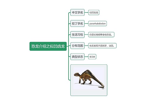 恐龙介绍之似凹齿龙思维导图