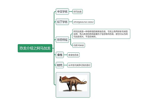 恐龙介绍之阿马加龙思维导图