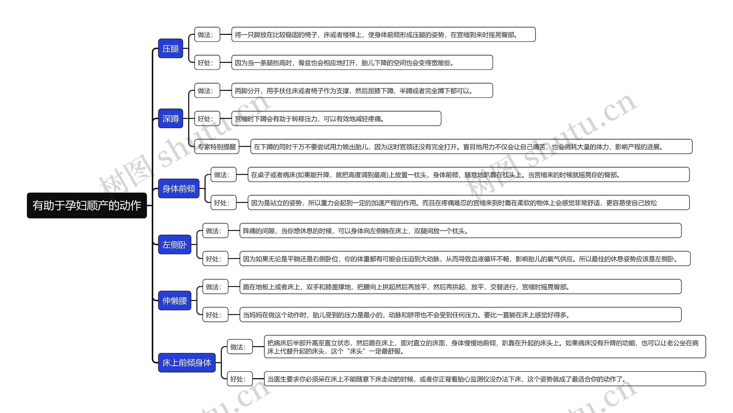 有助于孕妇顺产的动作思维导图