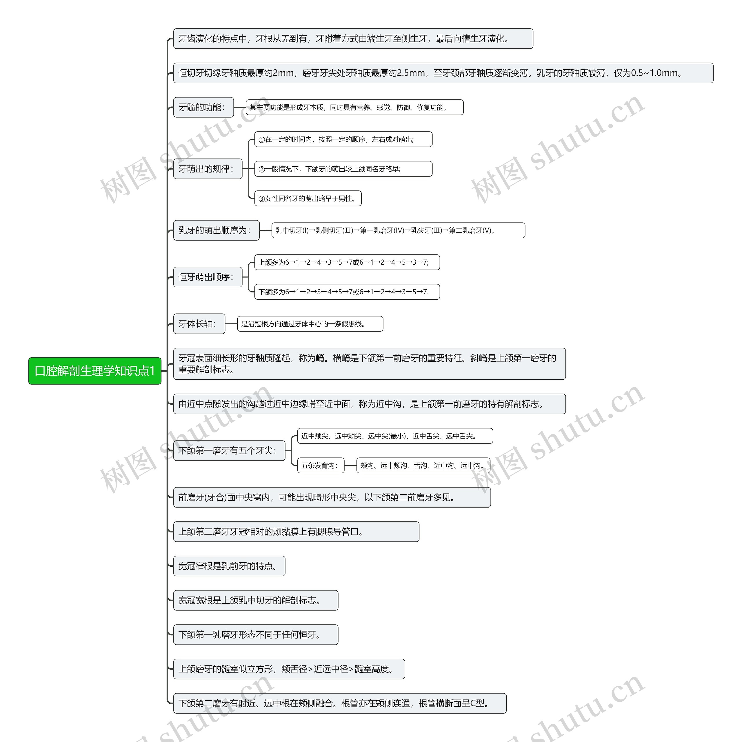 口腔解剖生理学知识点1思维导图
