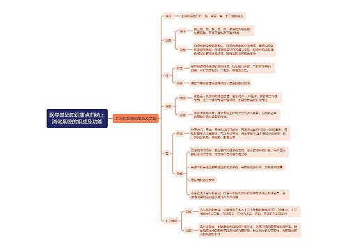 医学基础知识重点归纳上消化系统的组成及功能