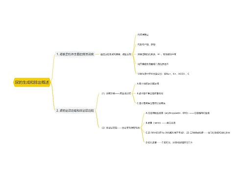 尿的生成和排出概述思维导图