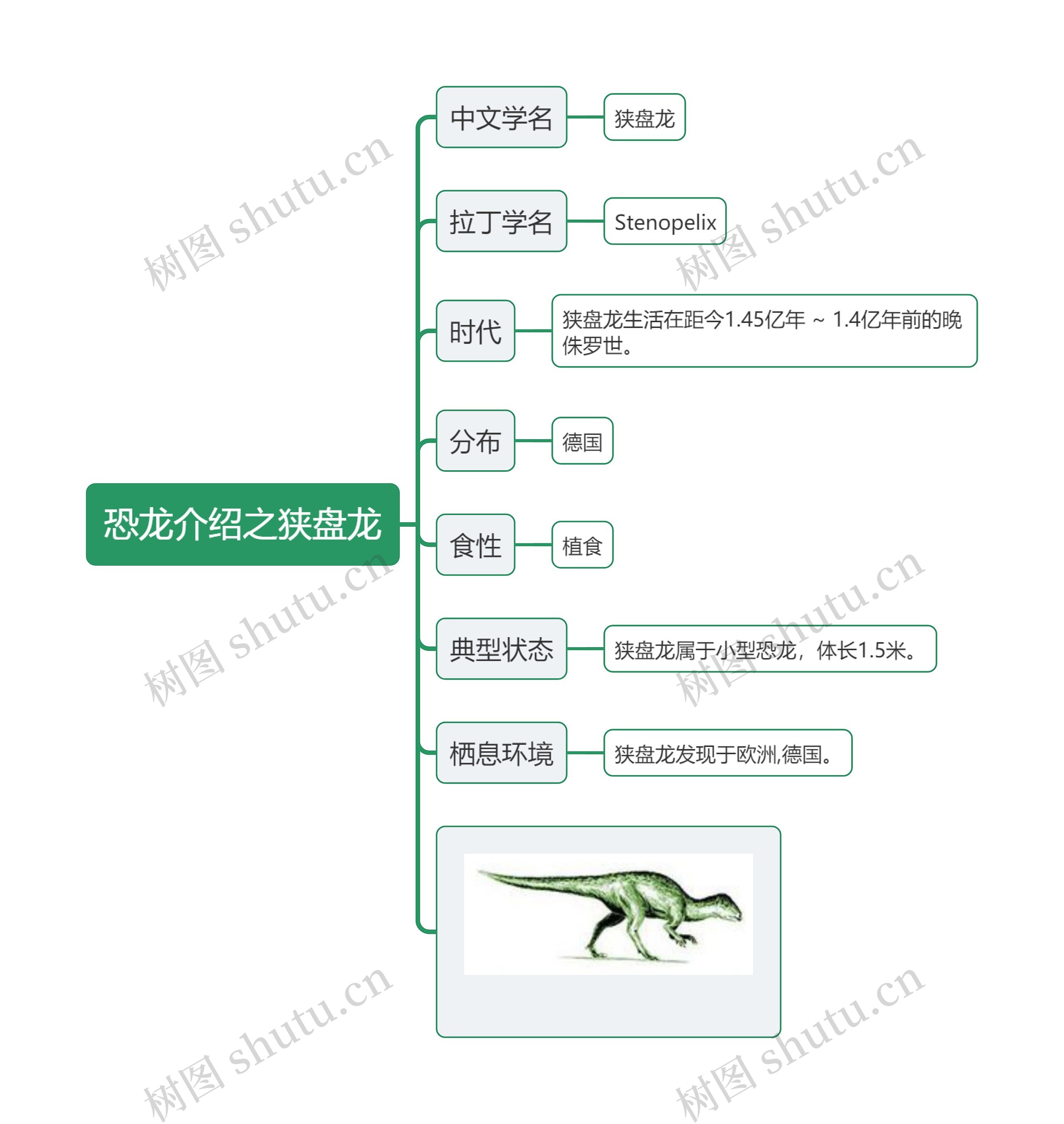 恐龙介绍之狭盘龙思维导图