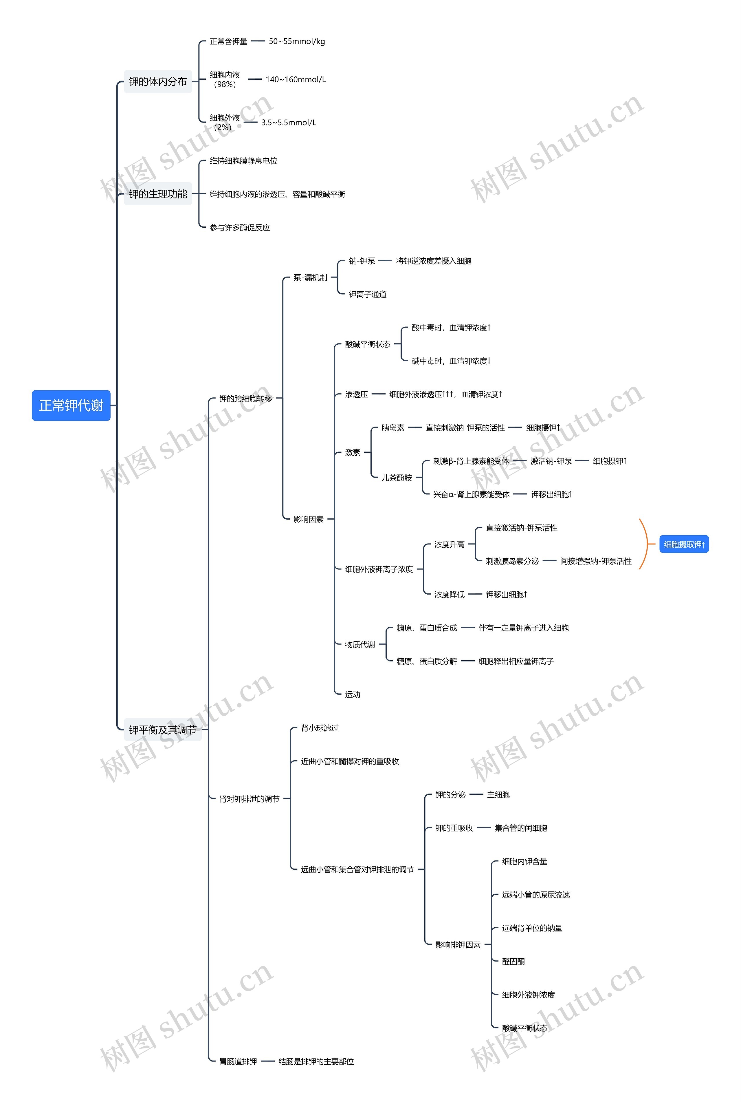 正常钾代谢思维导图