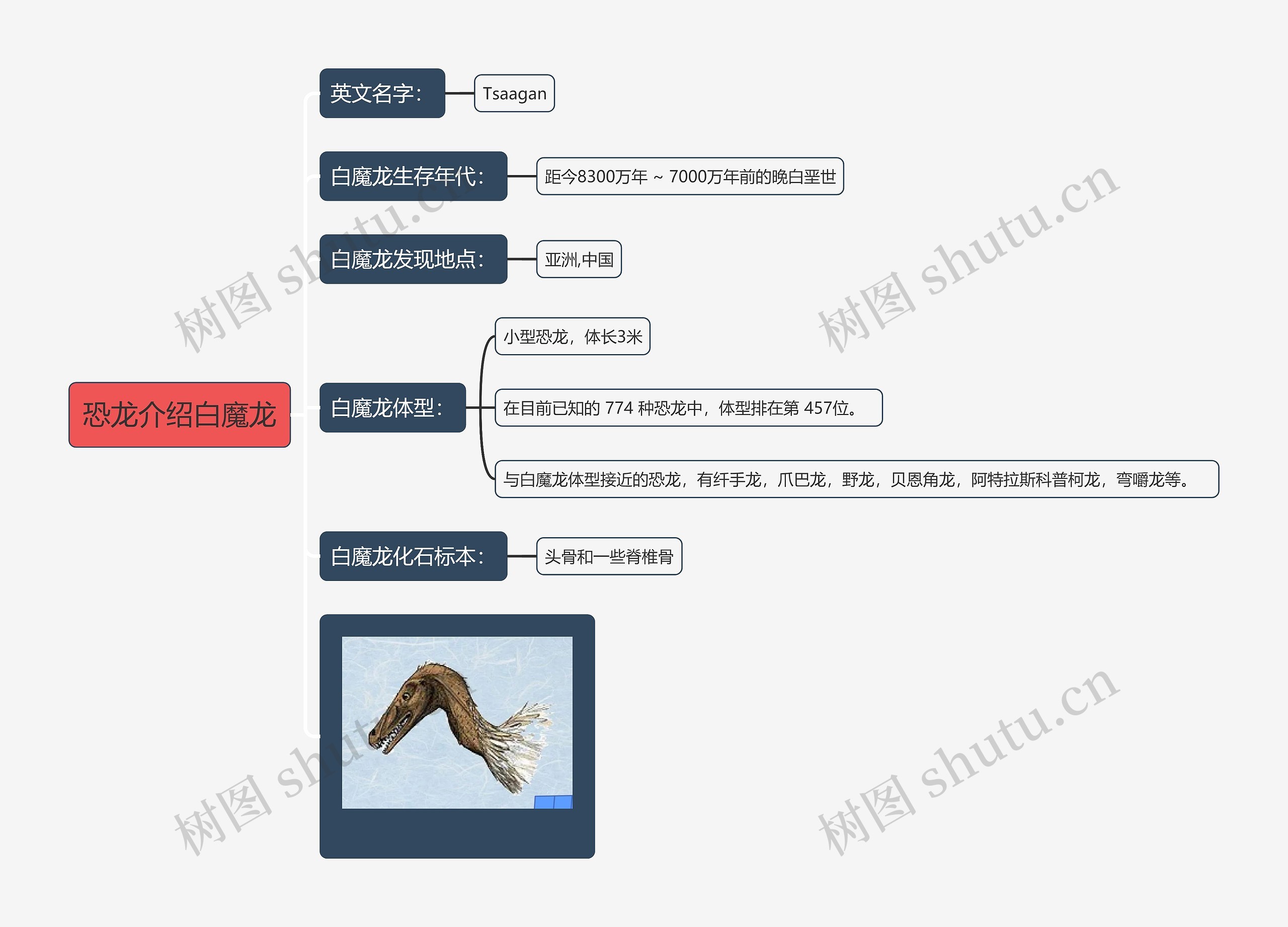 恐龙介绍白魔龙